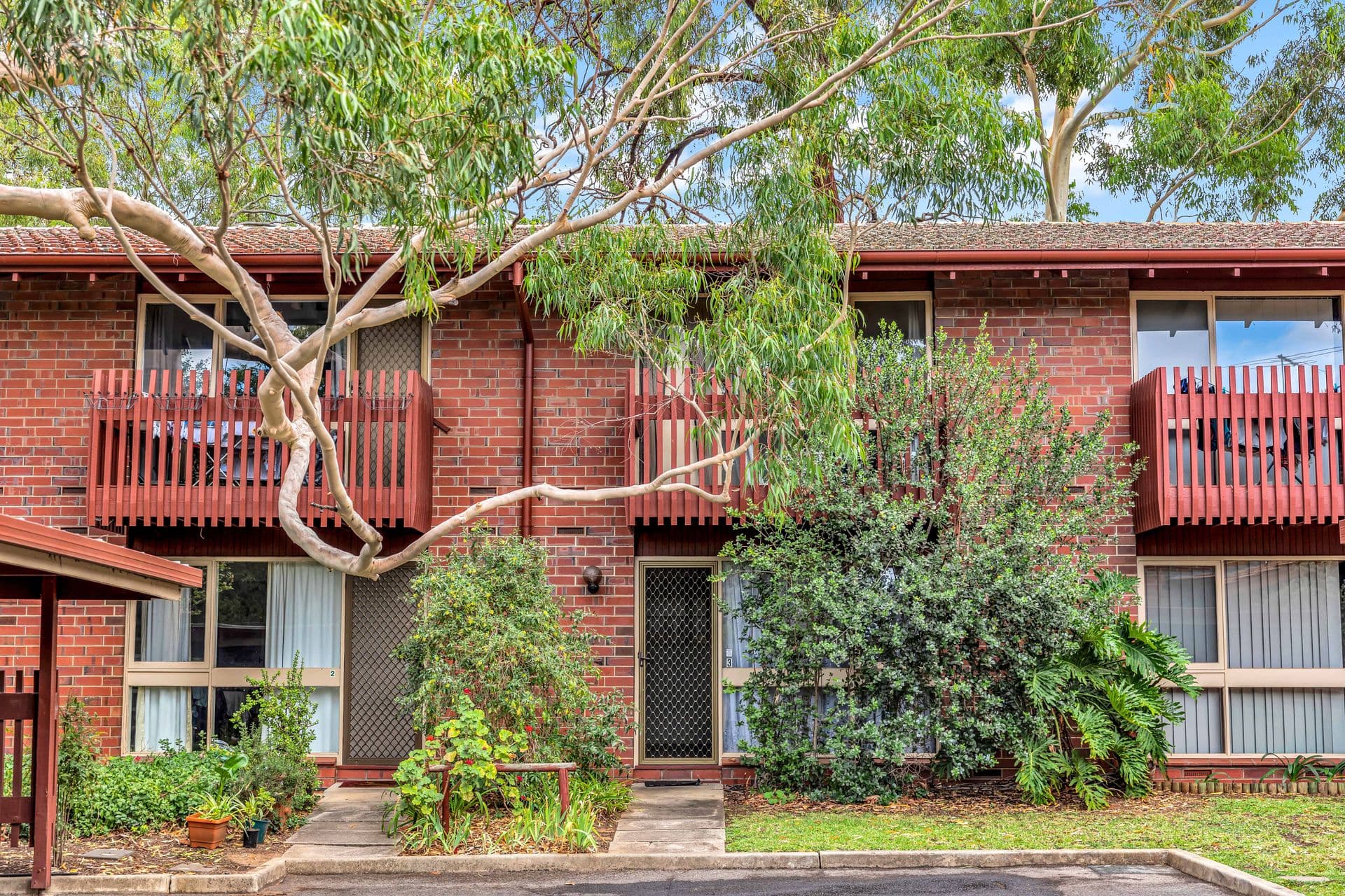 3/36 Trevelyan Street, Wayville, SA, 5034, Wayville - Thumbnail 3