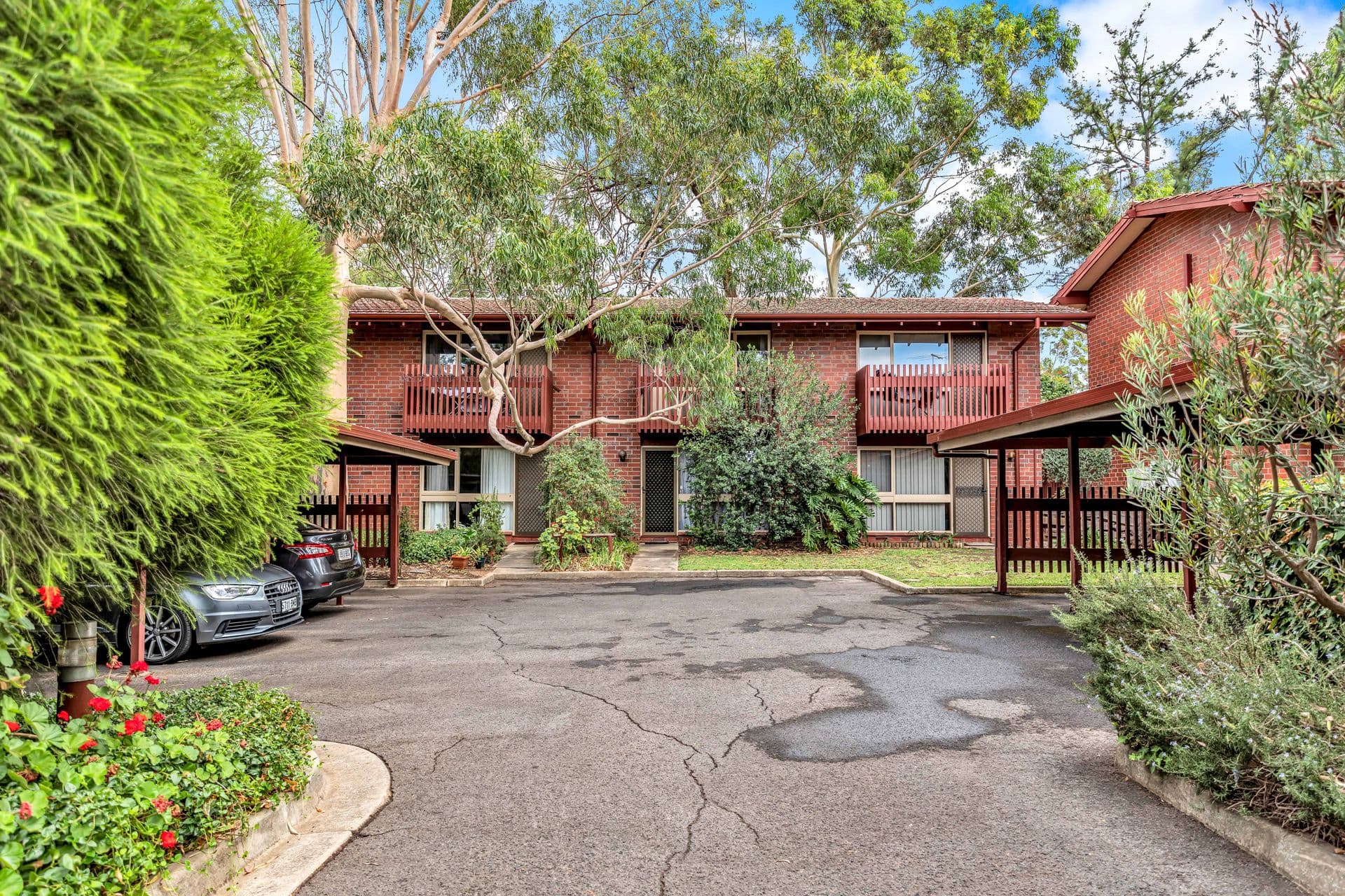 3/36 Trevelyan Street, Wayville, SA, 5034, Wayville - Image 1