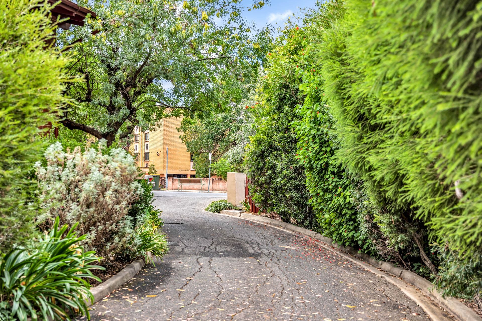 3/36 Trevelyan Street, Wayville, SA, 5034, Wayville - Thumbnail 2