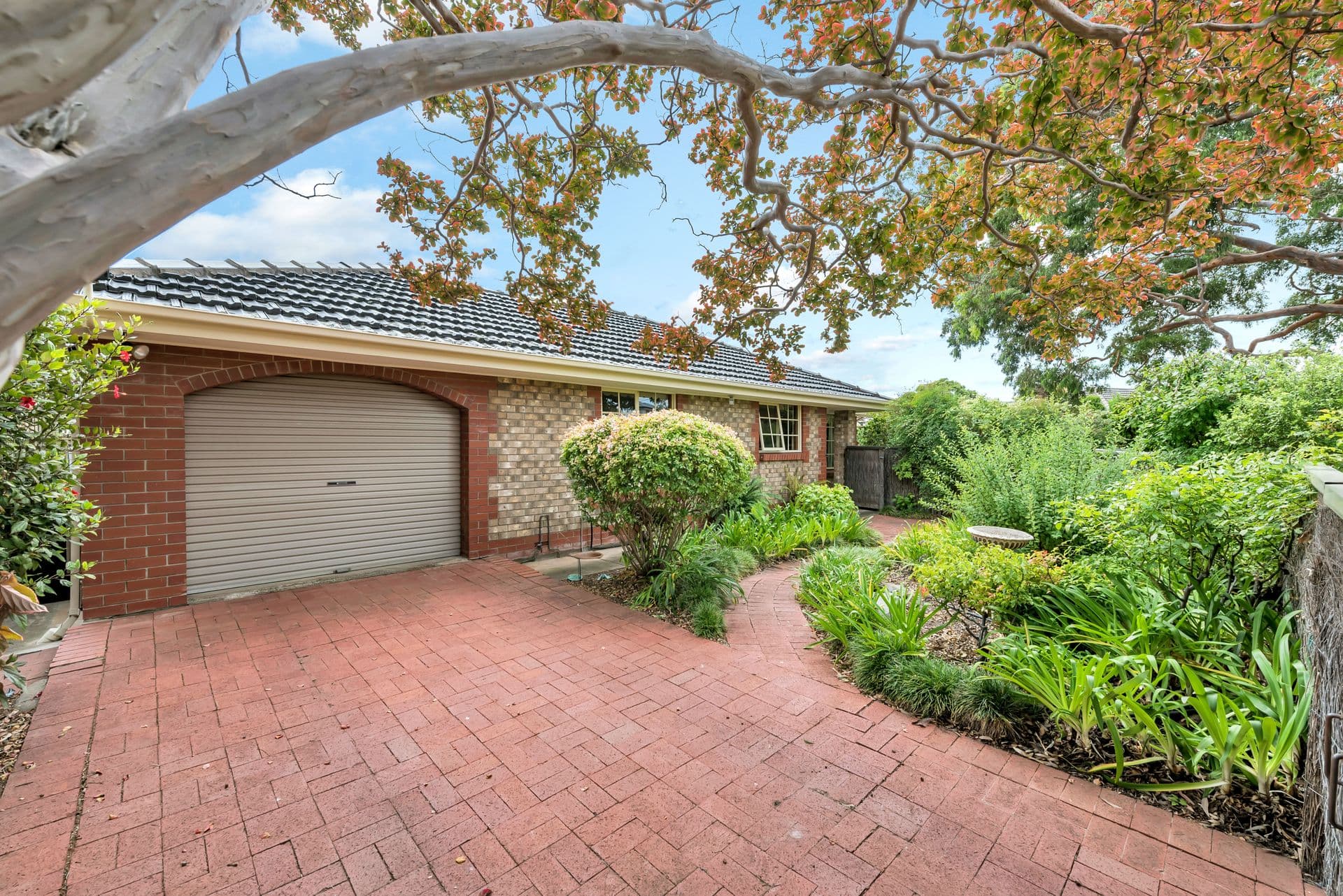5/3 Pine Avenue, Warradale, SA, 5046, Warradale - Image 1