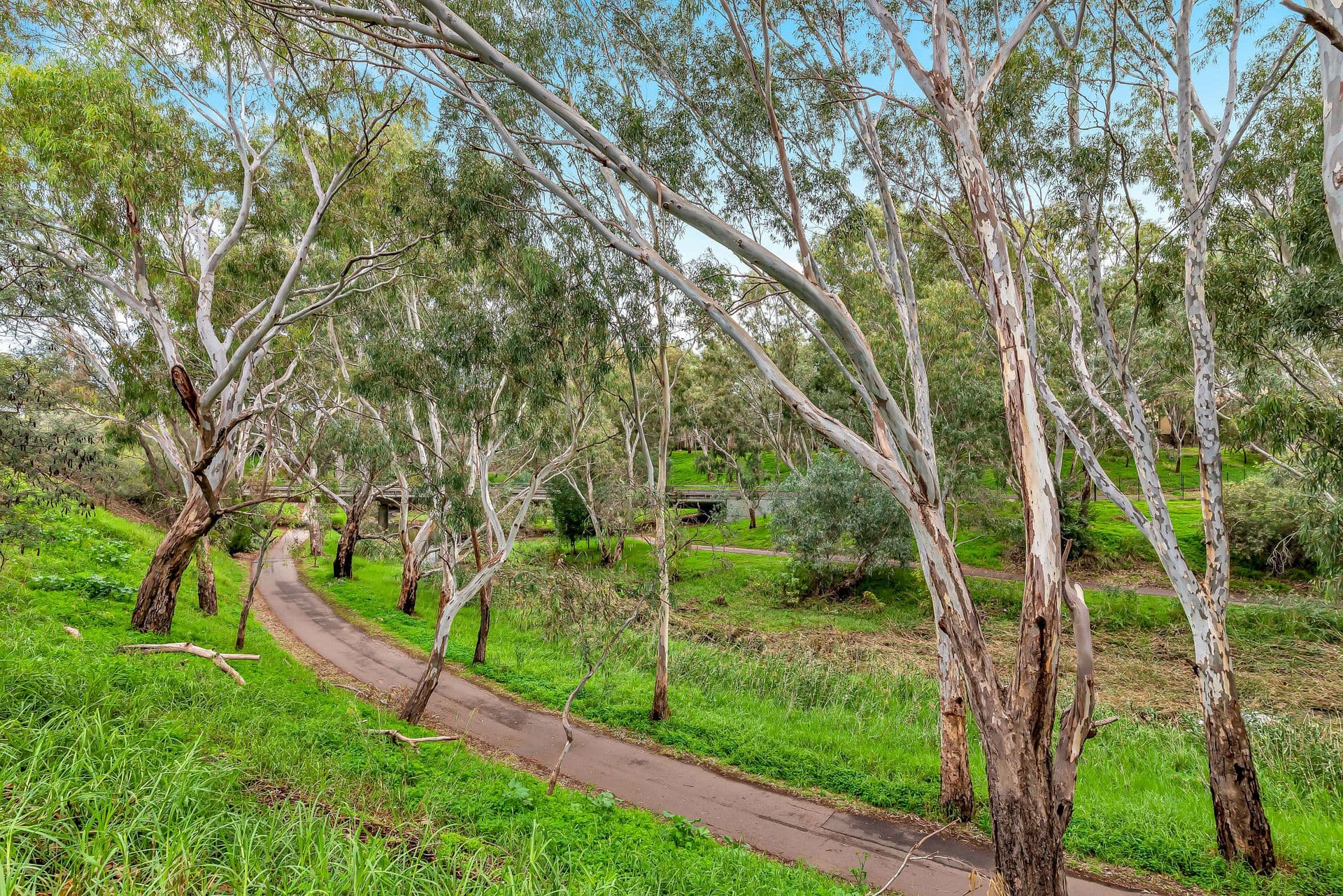 3/16 Tenth Avenue, St Peters, SA, 5069, St Peters - Thumbnail 8