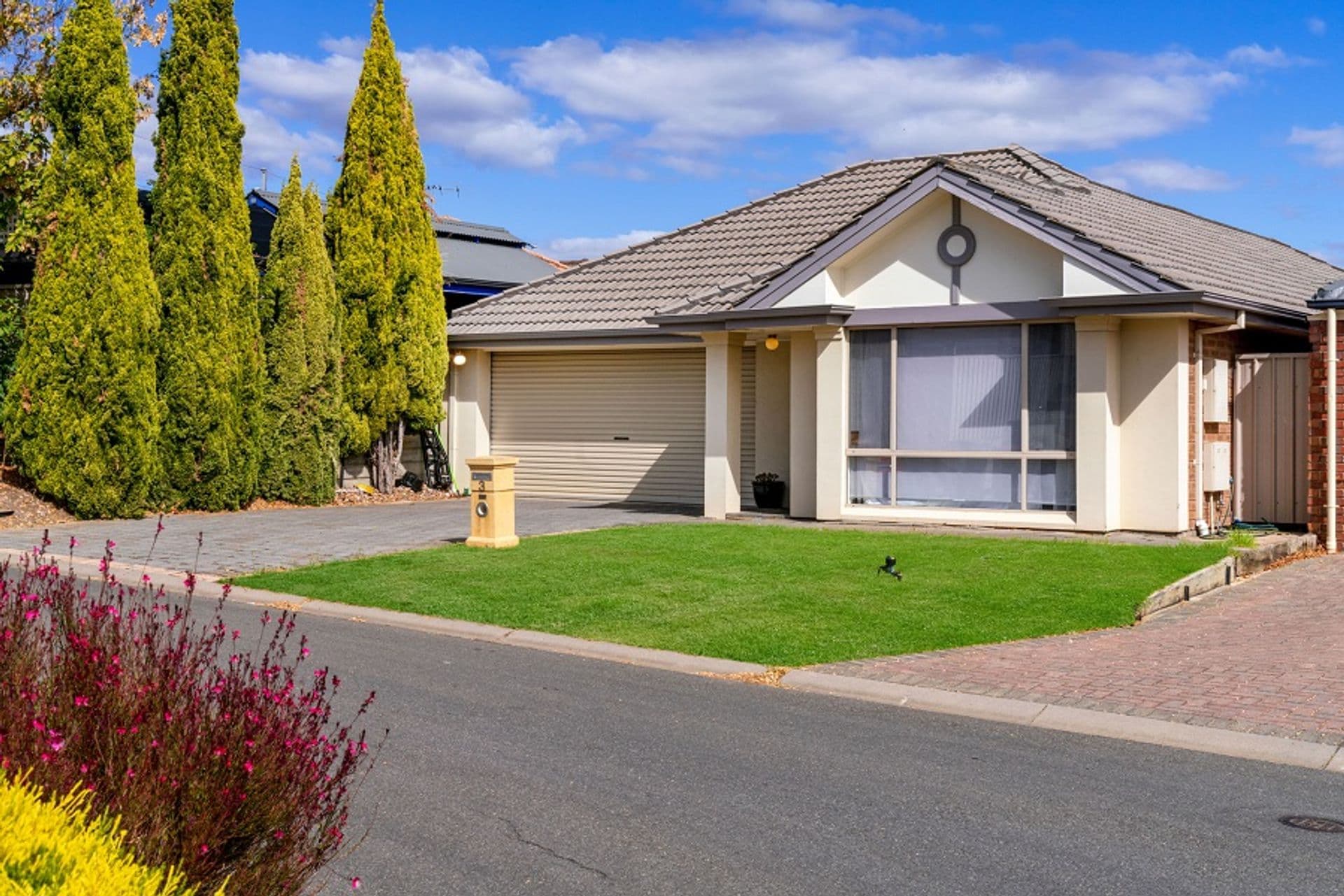 3 Brayden Court, Mitchell Park, SA, 5043, Mitchell Park - Thumbnail 2