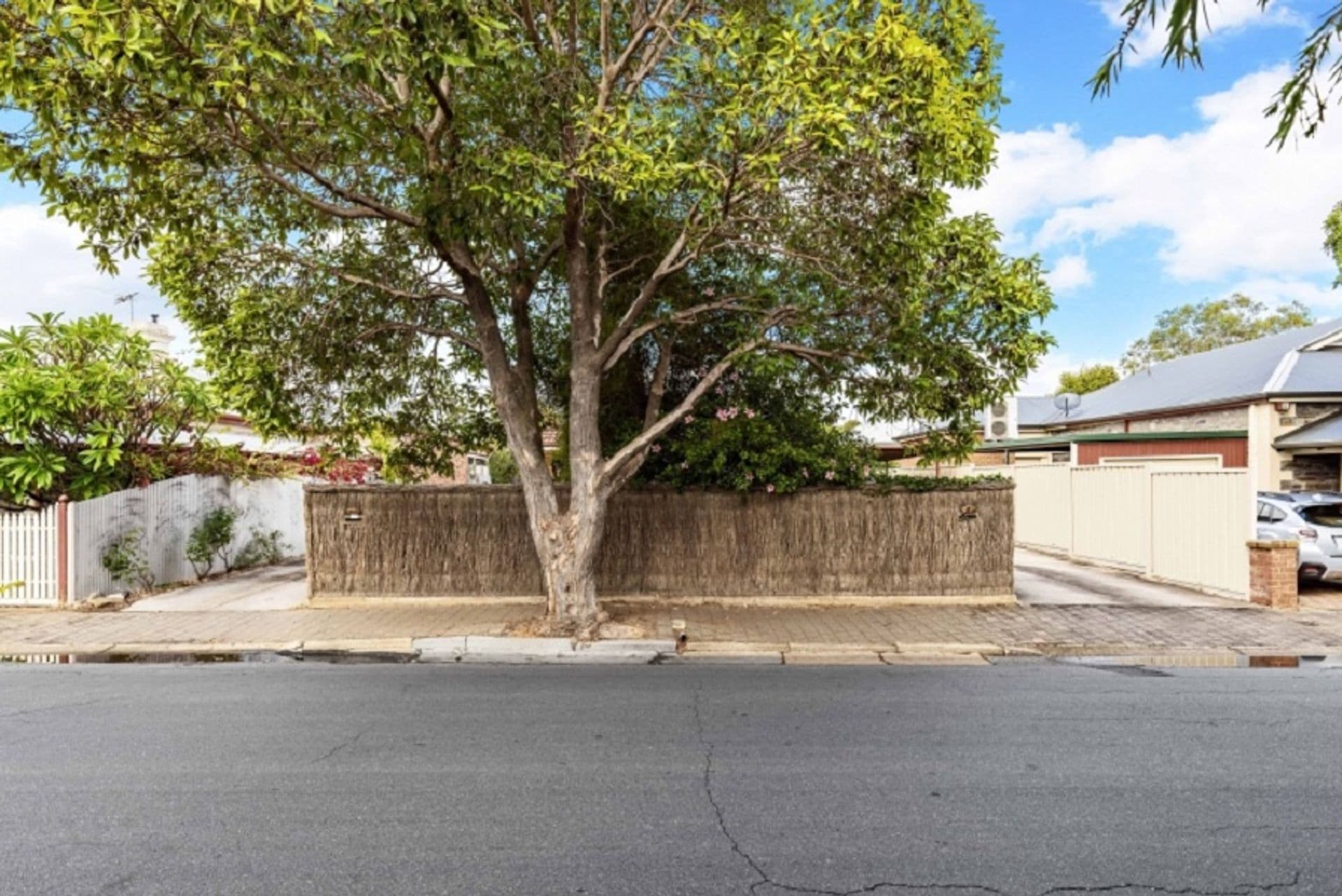 73 Albert Street, Goodwood, SA, 5034, Goodwood - Thumbnail 3