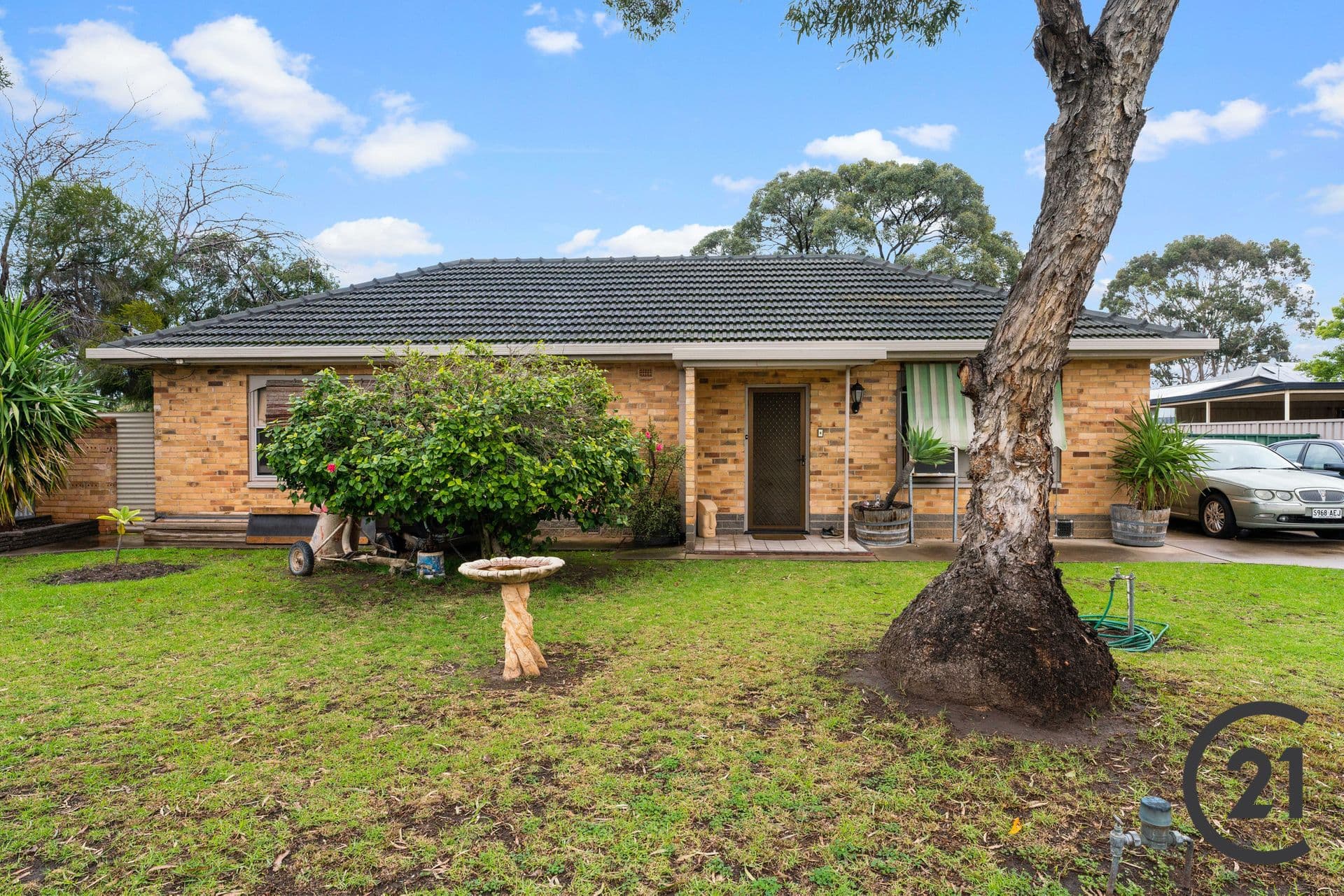 13 Debney Street, Fulham Gardens, SA, 5024, Fulham Gardens - Thumbnail 3