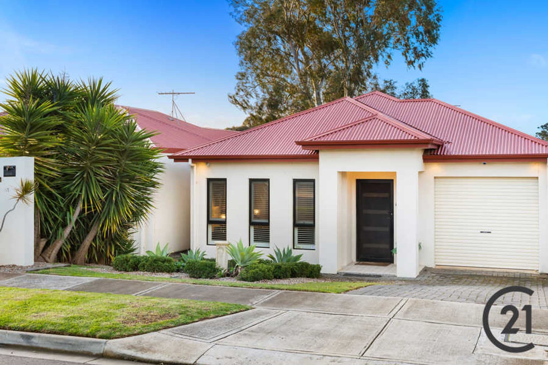 1 Felix Street, Dover Gardens, SA, 5048, Dover Gardens - Thumbnail 2