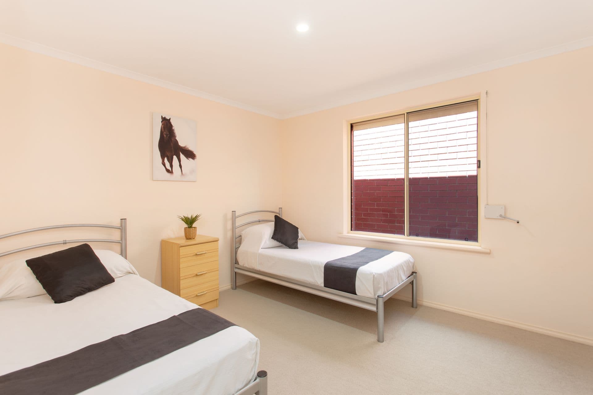 66A Harding Street, Somerton Park, SA, 5044, Somerton Park - Thumbnail 7