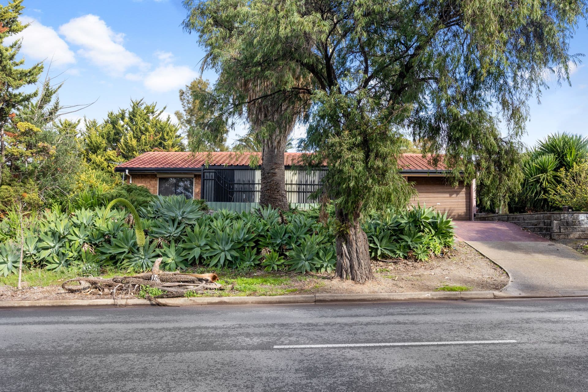 85 Melsetter Road, Huntfield Heights, SA, 5163, Huntfield Heights - Thumbnail 2