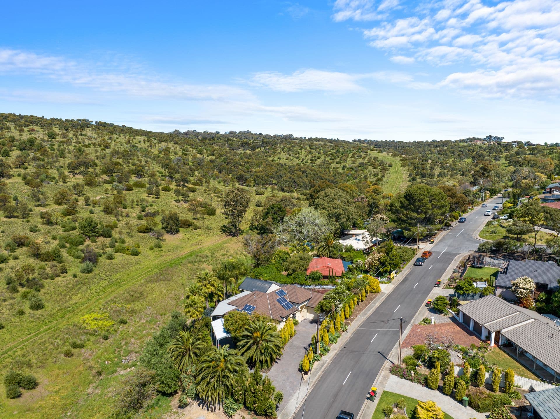 52 Alpine Road, Seacombe Heights, SA, 5047, Seacombe Heights - Thumbnail 4