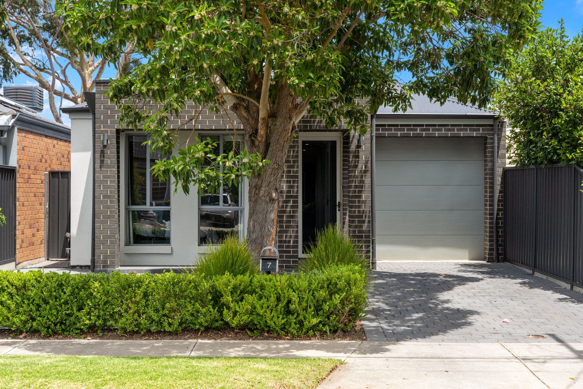 7 Gordon Terrace, Morphettville, SA, 5043, Morphettville - Thumbnail 2