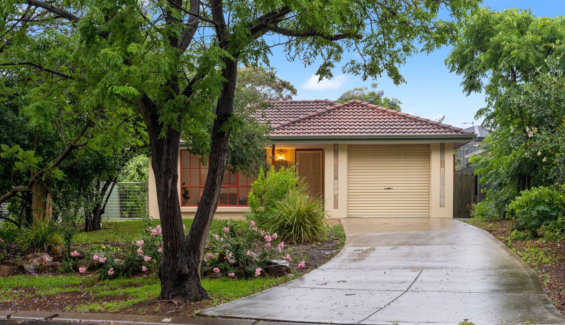 7 Tilbrook Court, McLaren Vale, SA, 5171, McLaren Vale - Image 1
