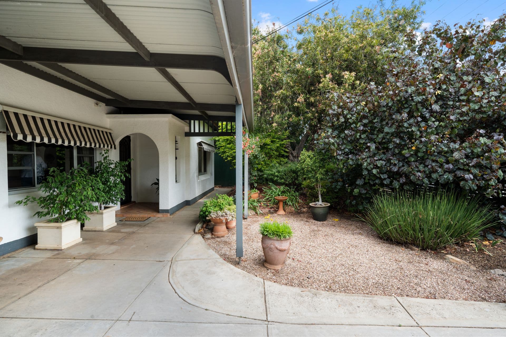 19 Oraston Avenue, Brighton, SA, 5048, Brighton - Thumbnail 3