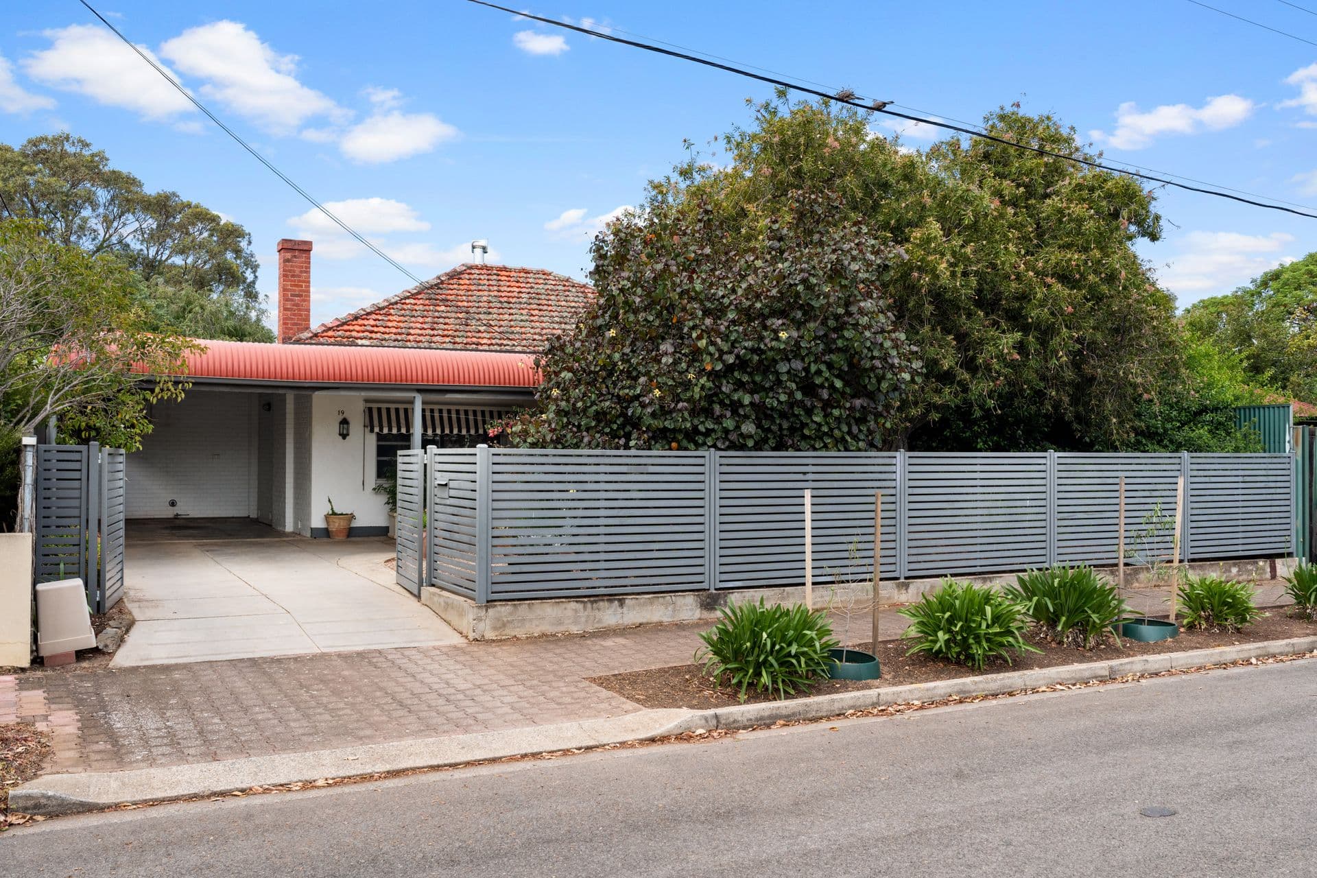 19 Oraston Avenue, Brighton, SA, 5048, Brighton - Thumbnail 2