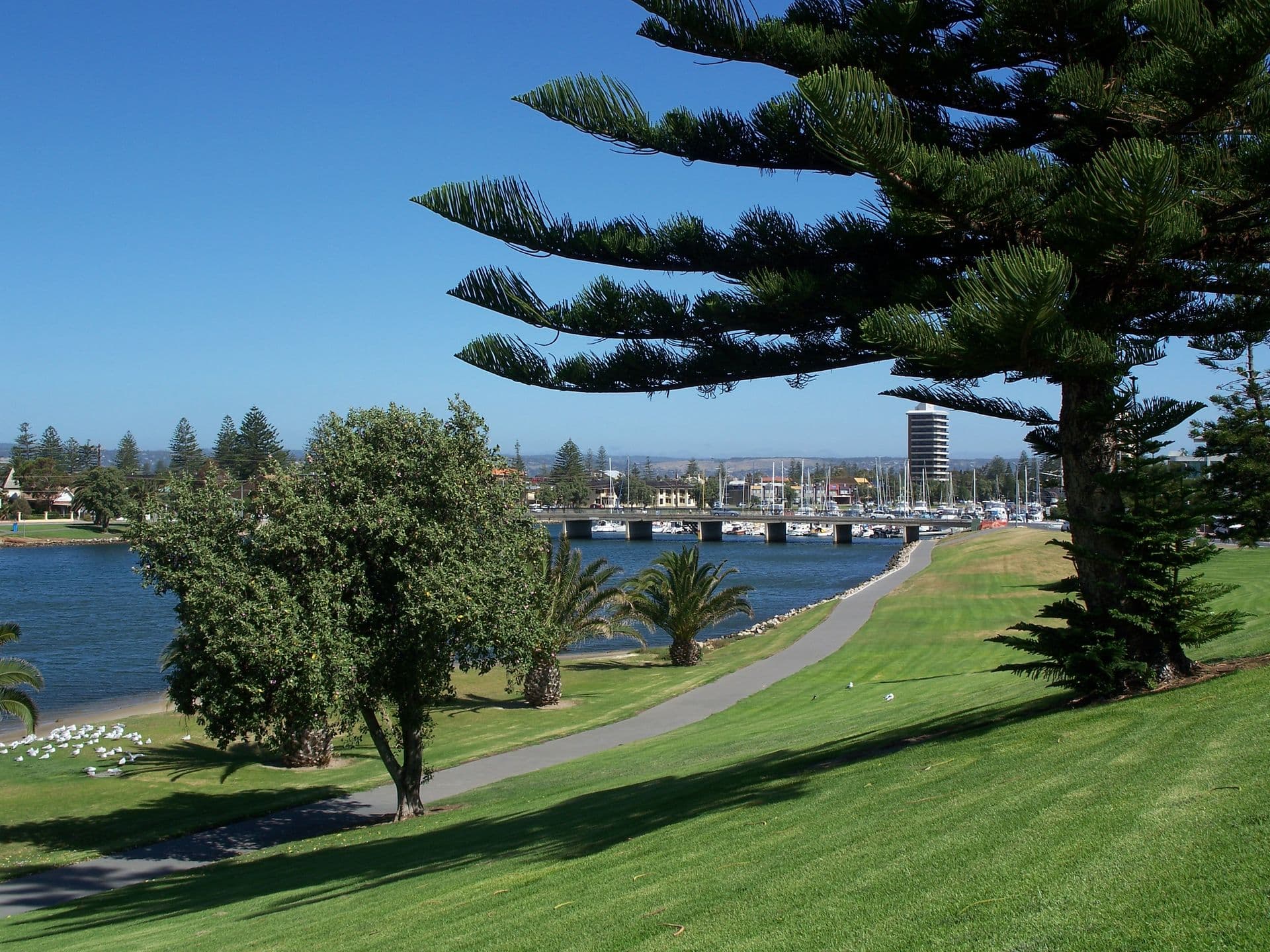 30A Richardson Avenue, Glenelg North, SA, 5045, Glenelg North - Thumbnail 7