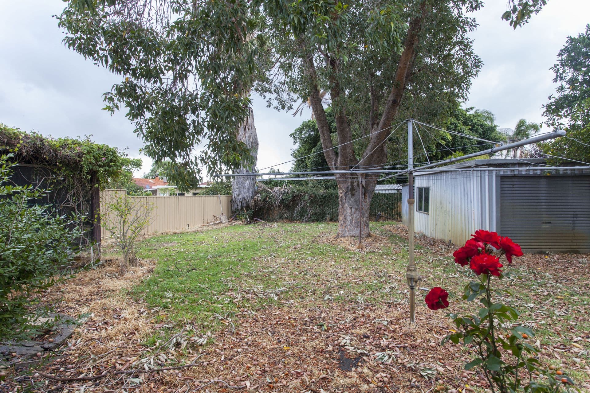 65 Gabriel Street, Cloverdale, WA, 6105, Cloverdale - Thumbnail 3