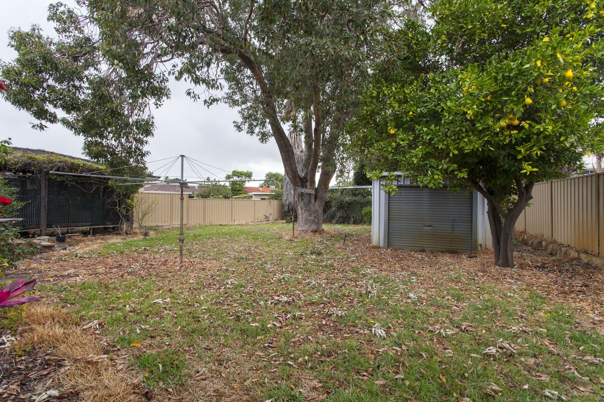 65 Gabriel Street, Cloverdale, WA, 6105, Cloverdale - Thumbnail 4