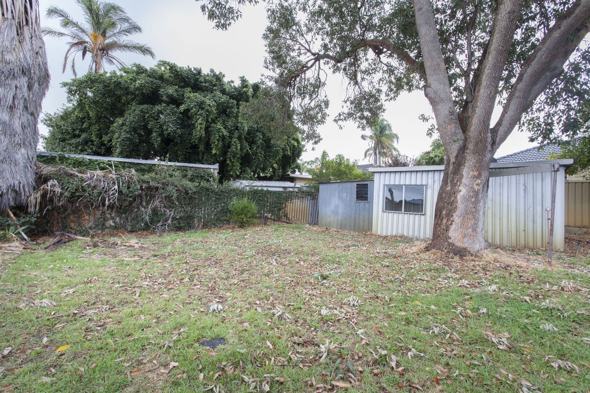 65 Gabriel Street, Cloverdale, WA, 6105, Cloverdale - Thumbnail 6