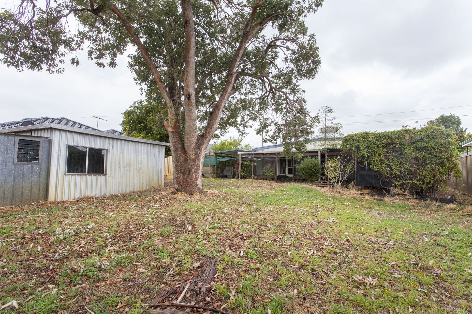 65 Gabriel Street, Cloverdale, WA, 6105, Cloverdale - Thumbnail 7
