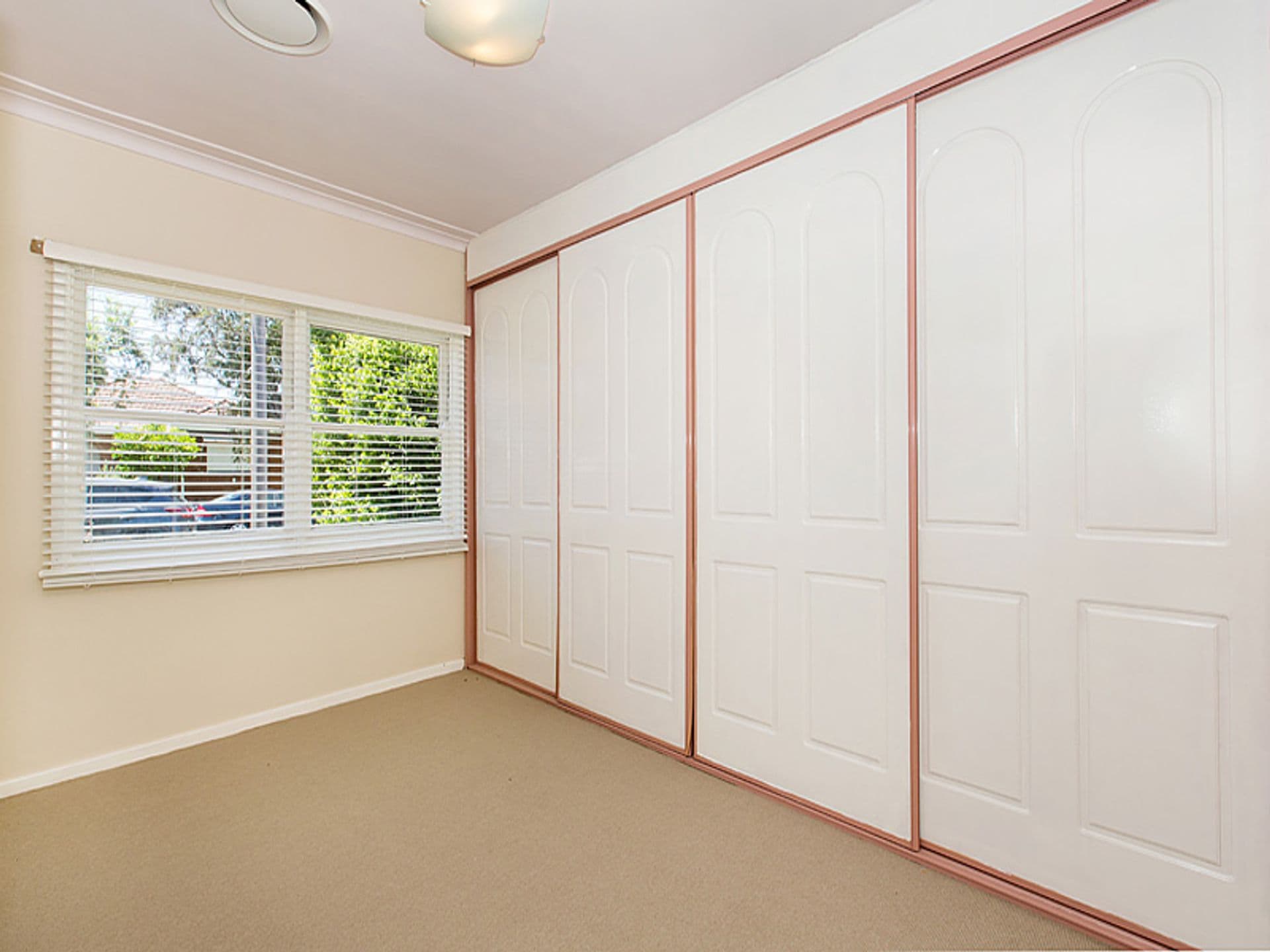 33 Bonaparte Street, Riverwood, NSW, 2210, Riverwood - Thumbnail 6