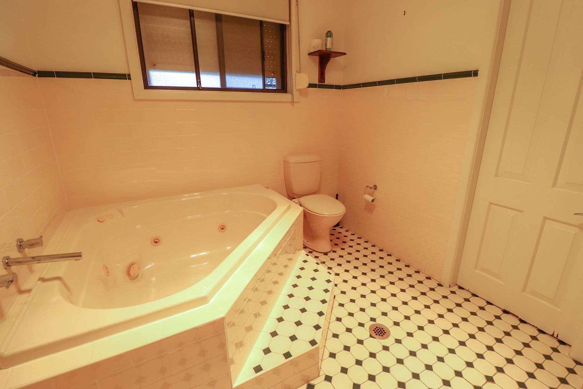 8  Tempe Street, Greenacre, NSW, 2190, Greenacre - Thumbnail 7