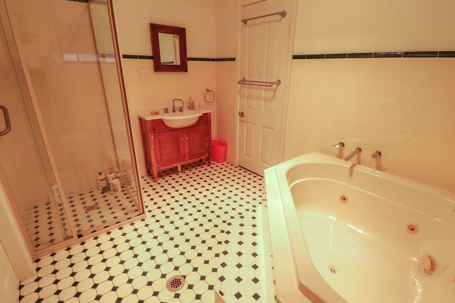 8  Tempe Street, Greenacre, NSW, 2190, Greenacre - Thumbnail 8