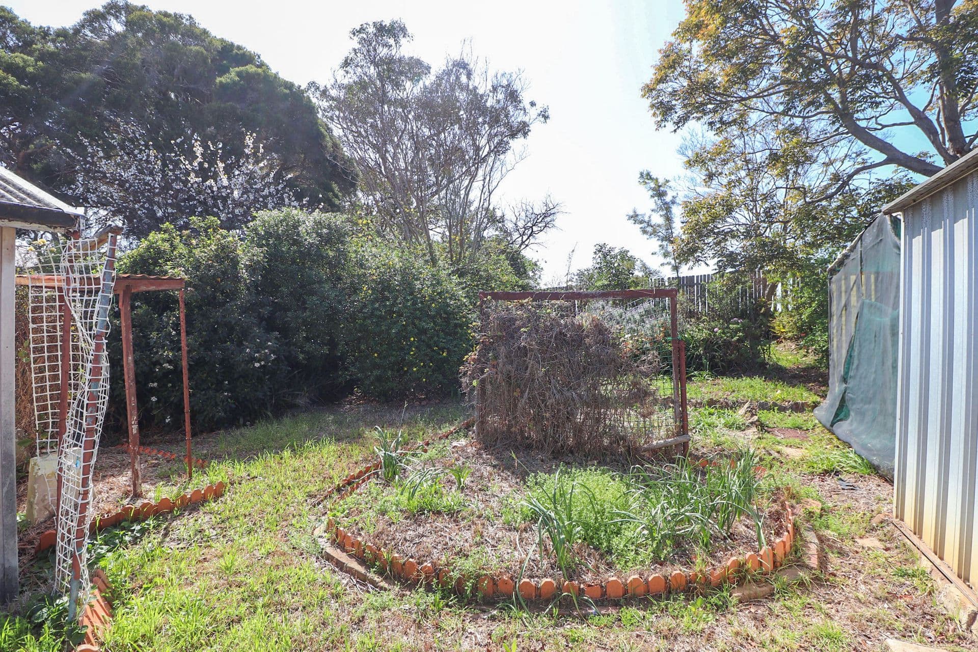 65 Avoca Street, Yagoona, NSW, 2199, Yagoona - Thumbnail 8