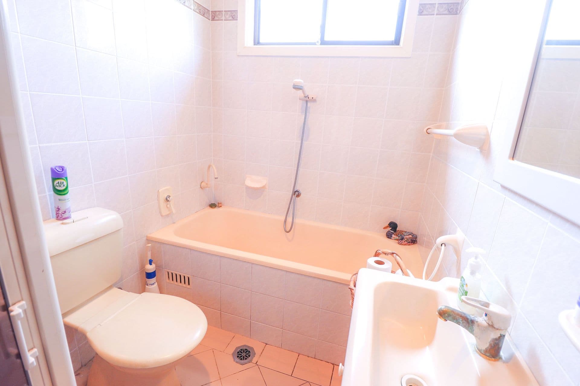16 Roosevelt Avenue, Sefton, NSW, 2162, Sefton - Thumbnail 5
