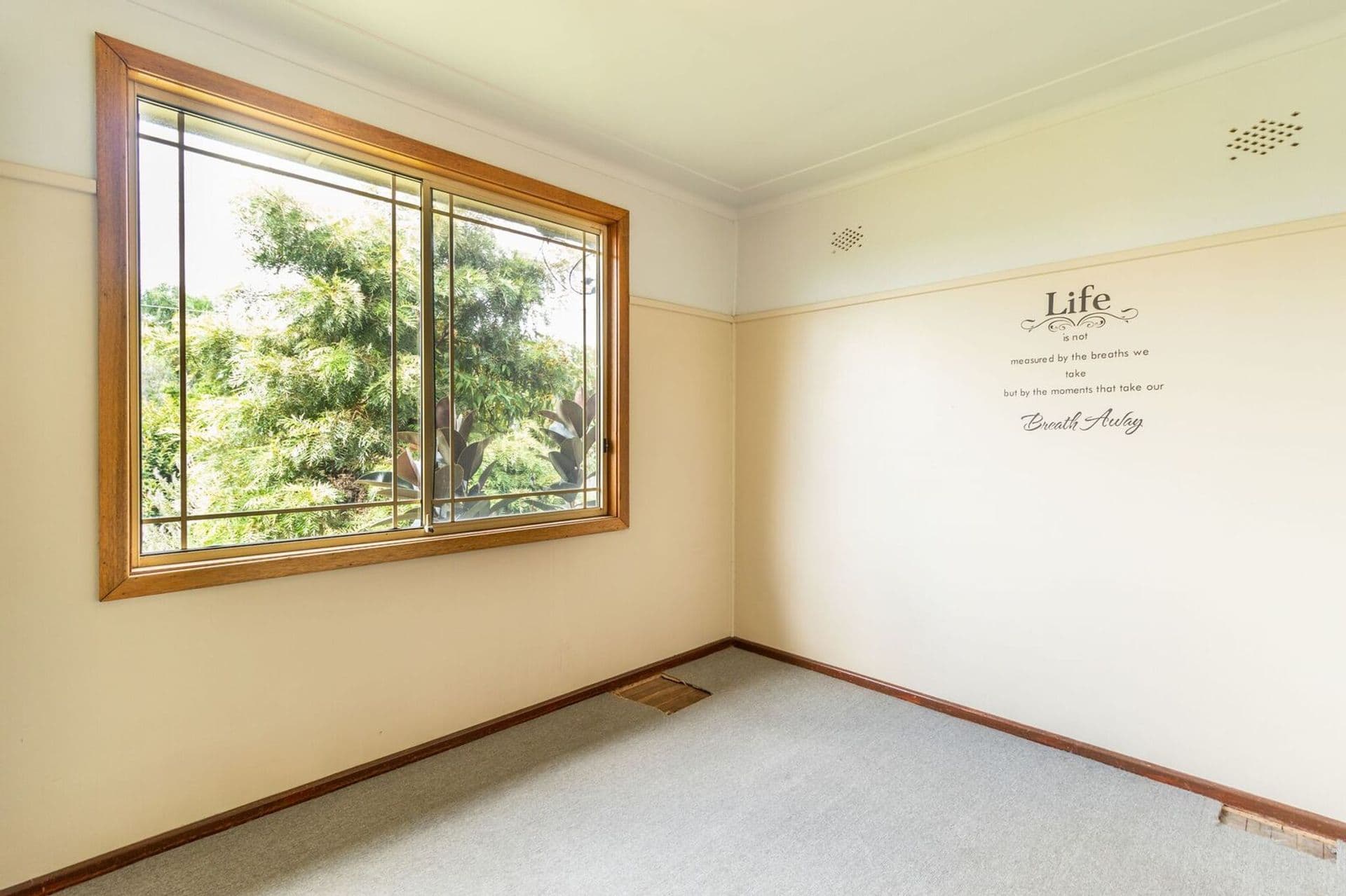 12 Neville Street, Yagoona, NSW, 2199, Yagoona - Thumbnail 4