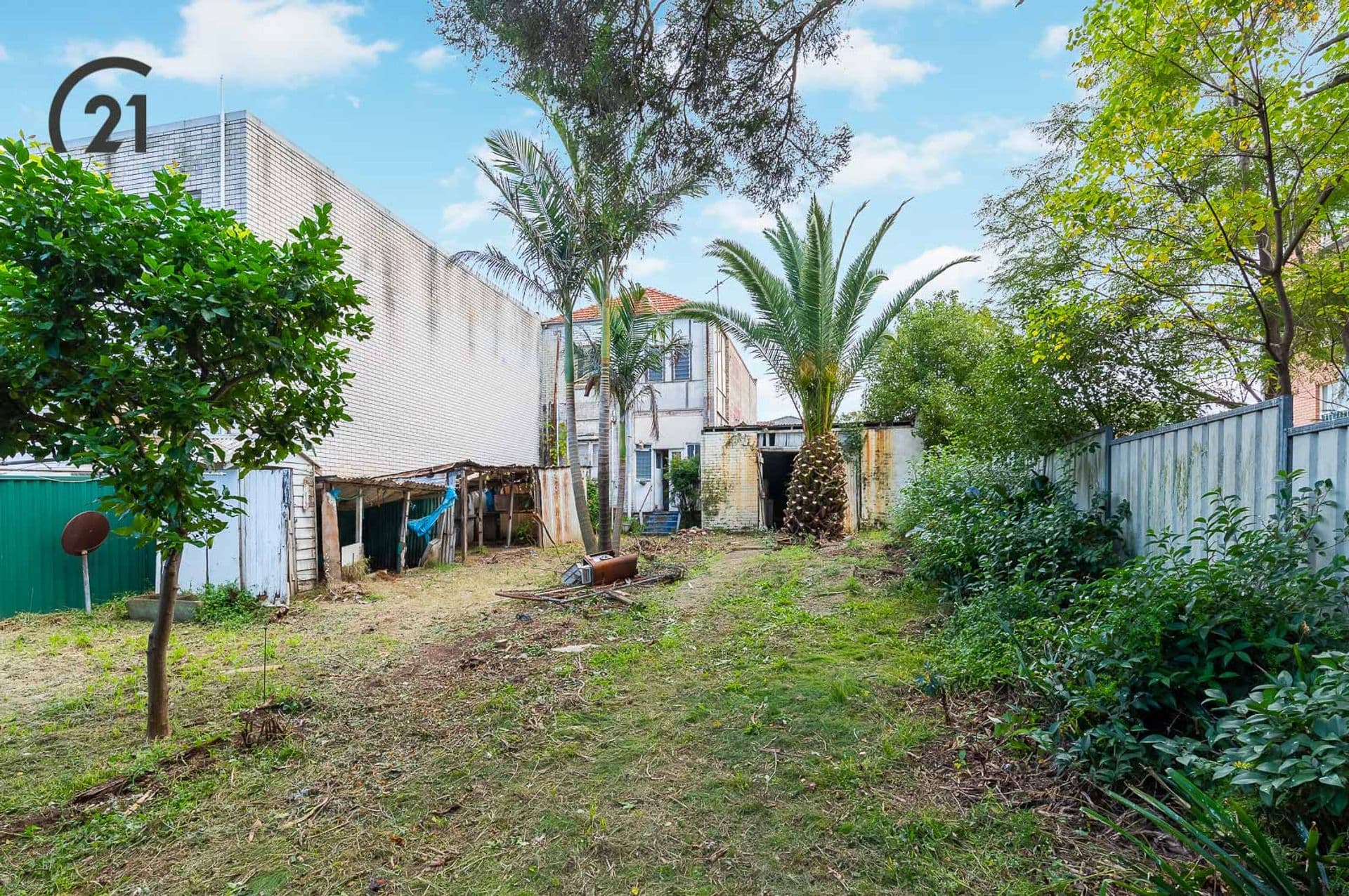 33 Highclere Avenue, Punchbowl, NSW, 2196, Punchbowl - Thumbnail 3