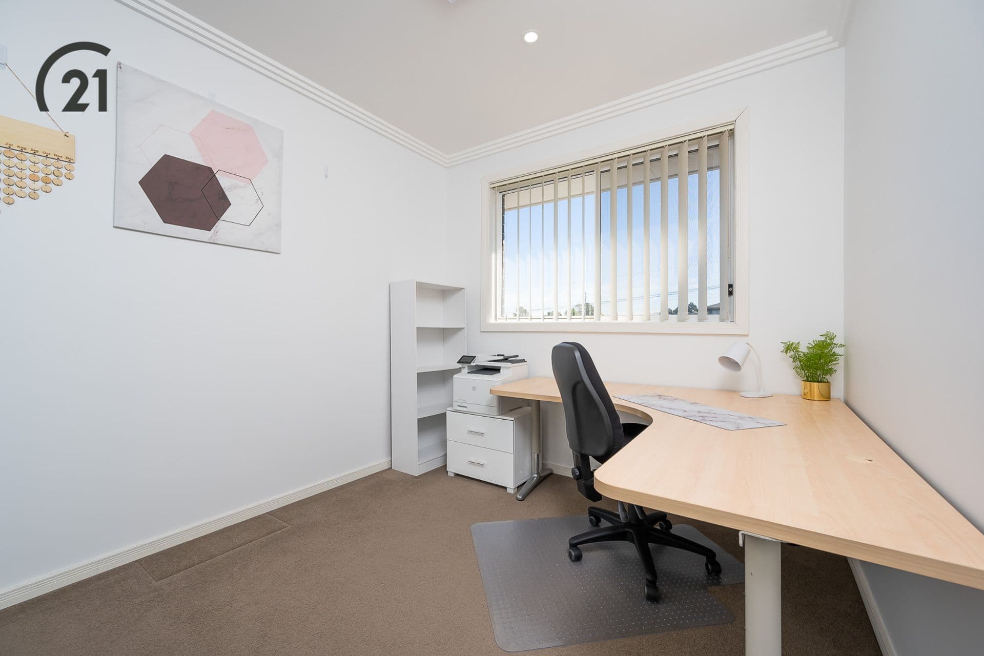 13 Alpha Street, Chester Hill, NSW, 2162, Chester Hill - Thumbnail 5