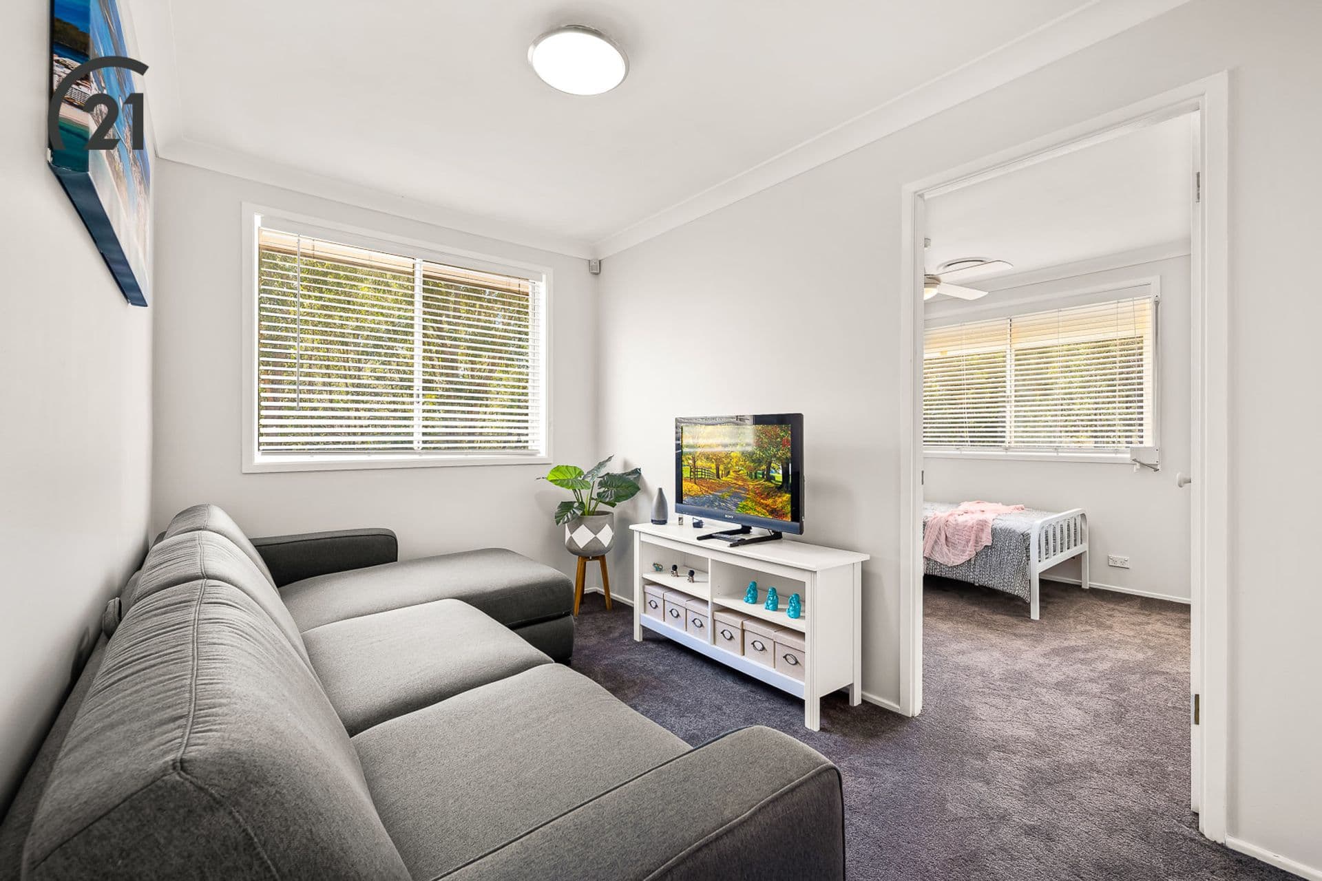349 Hector Street, Bass Hill, NSW, 2197, Bass Hill - Thumbnail 5