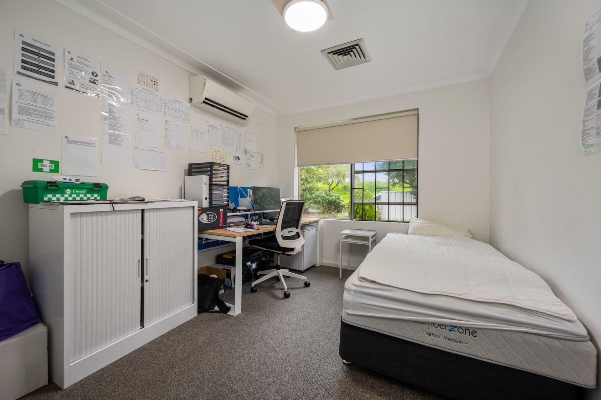 5 Ashton Avenue, Chester Hill, NSW, 2162, Chester Hill - Thumbnail 7