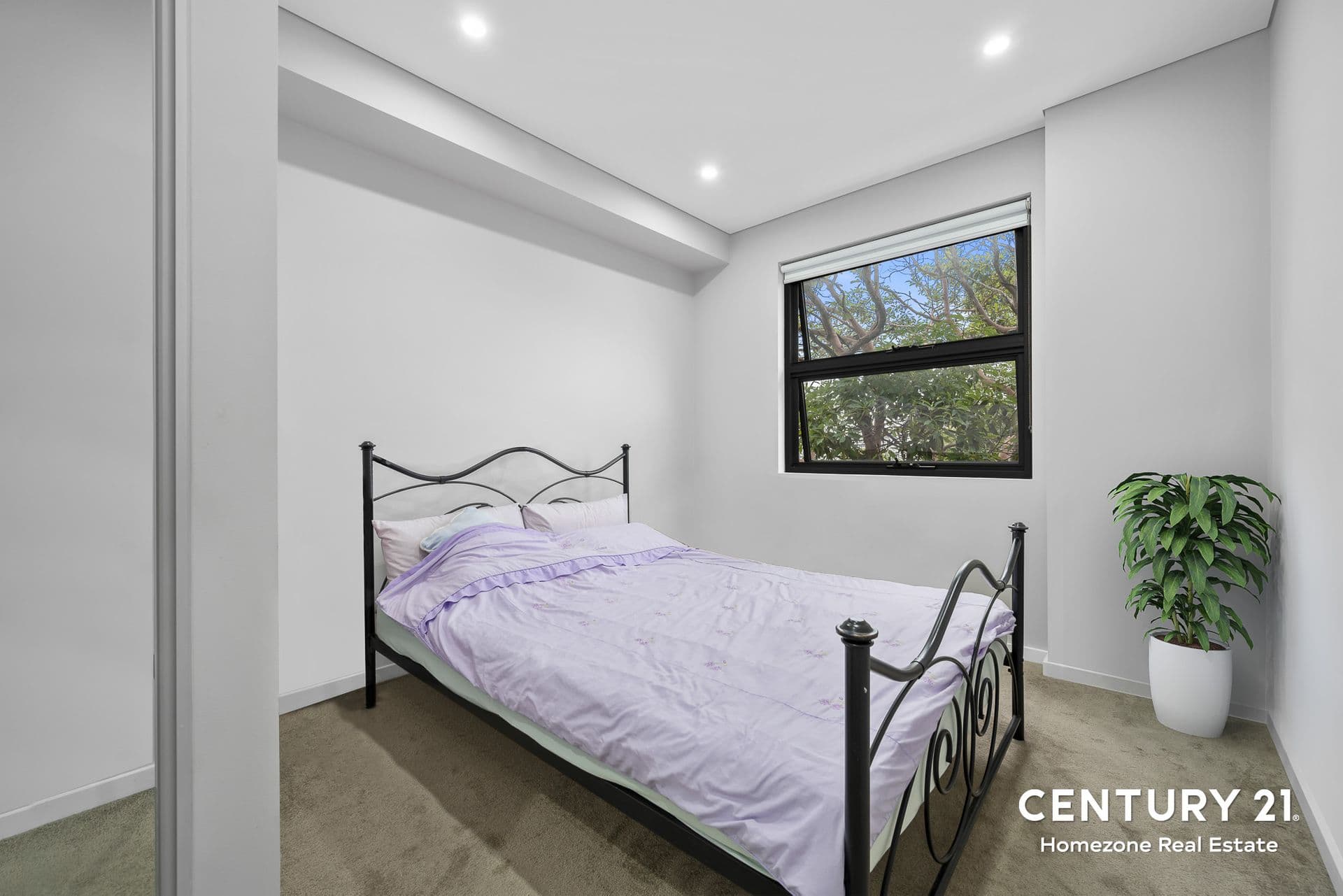 102/41 Wonga Street, Canterbury, NSW, 2193, Canterbury - Thumbnail 4