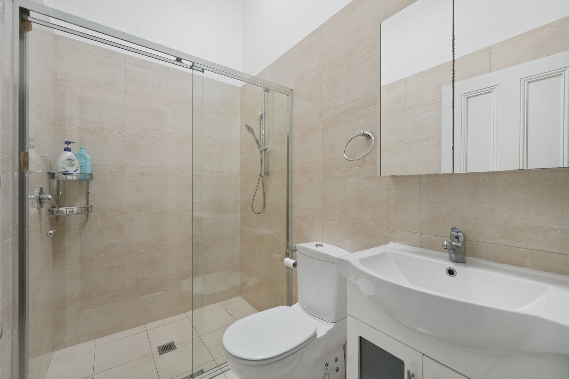 111 Duntroon Street, Hurlstone Park, NSW, 2193, Hurlstone Park - Thumbnail 6