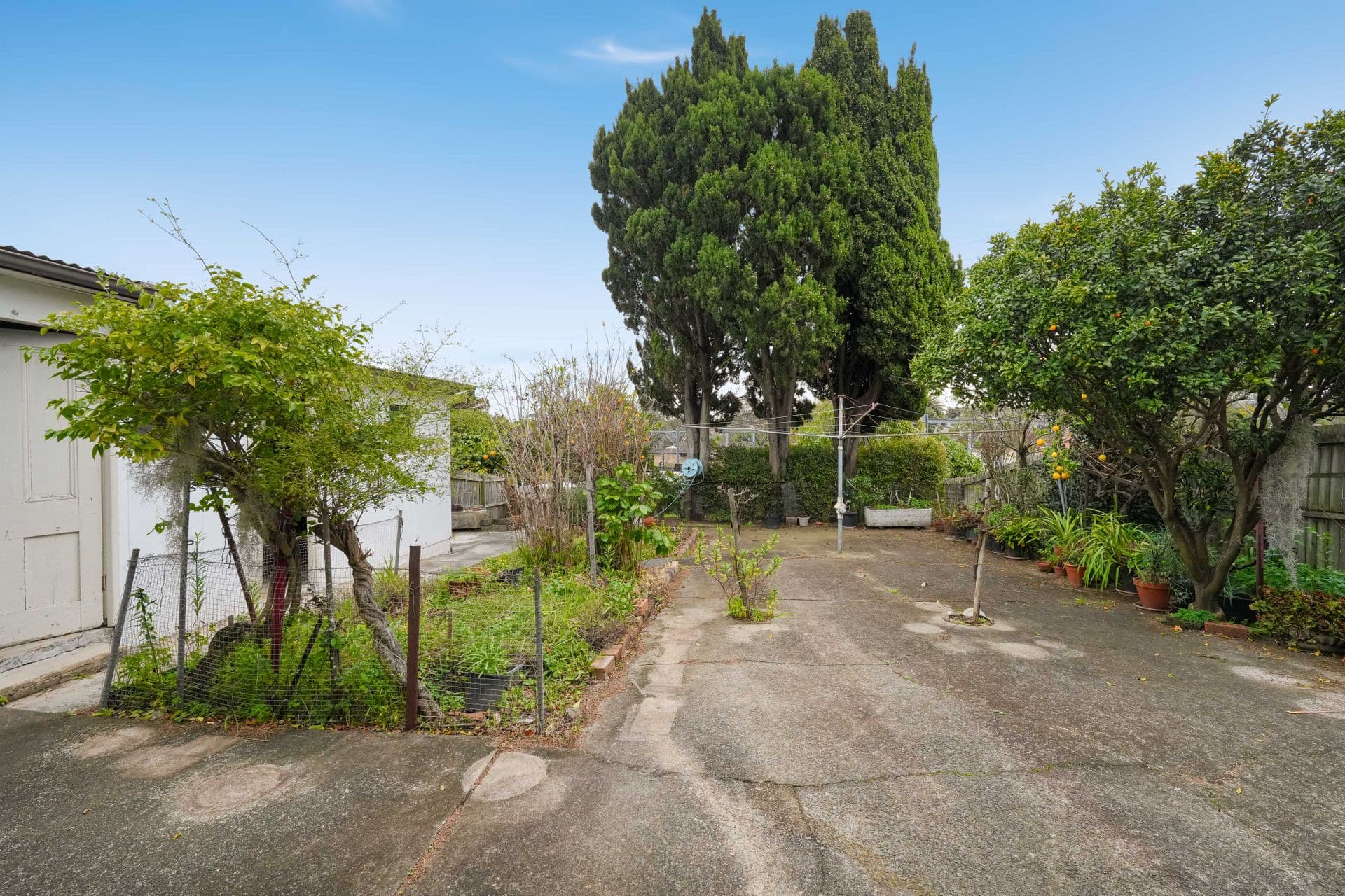 111 Duntroon Street, Hurlstone Park, NSW, 2193, Hurlstone Park - Thumbnail 8