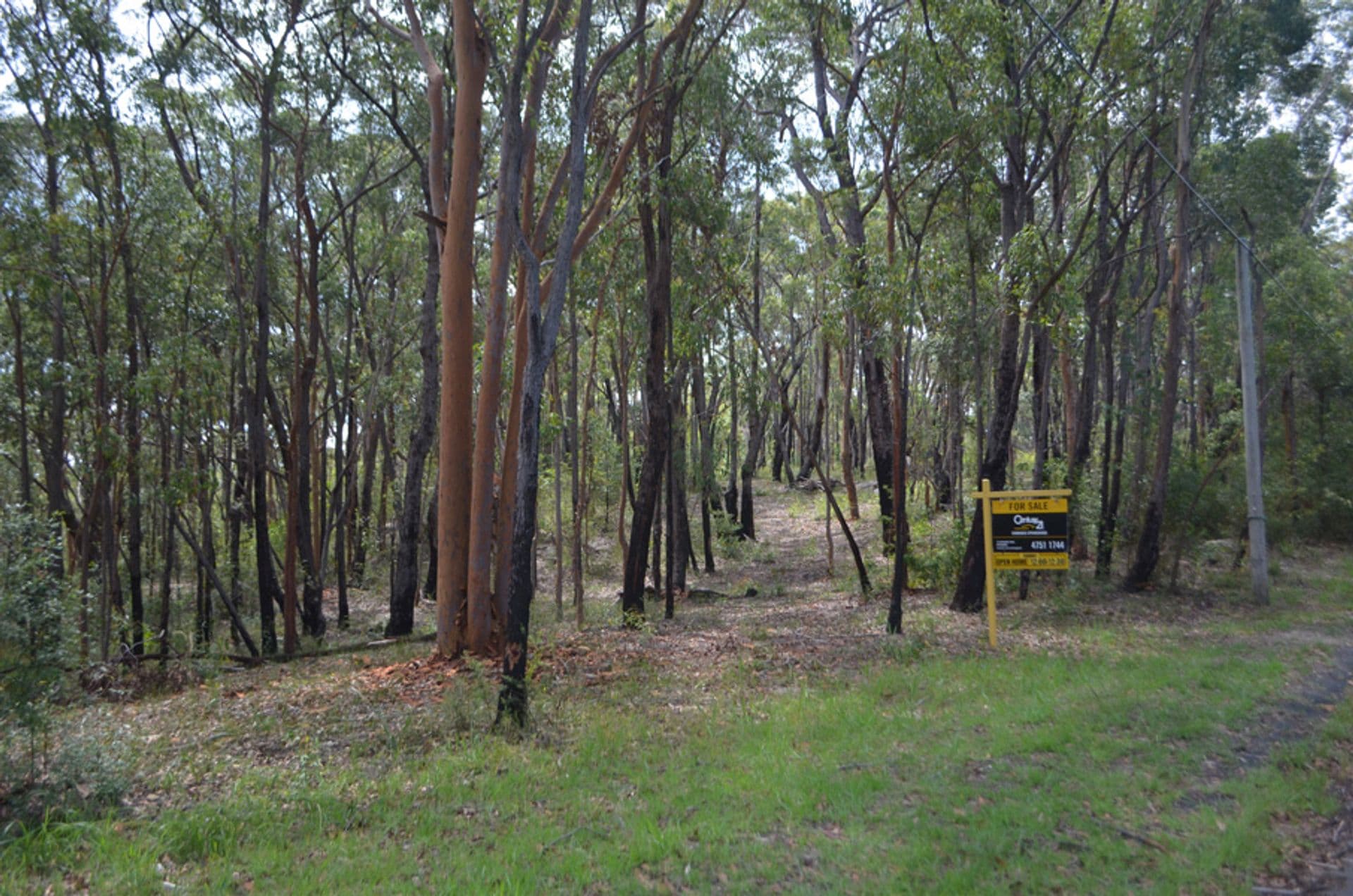 Lot 2/208 Chapman Parade, Faulconbridge, NSW, 2776, Faulconbridge - Thumbnail 3