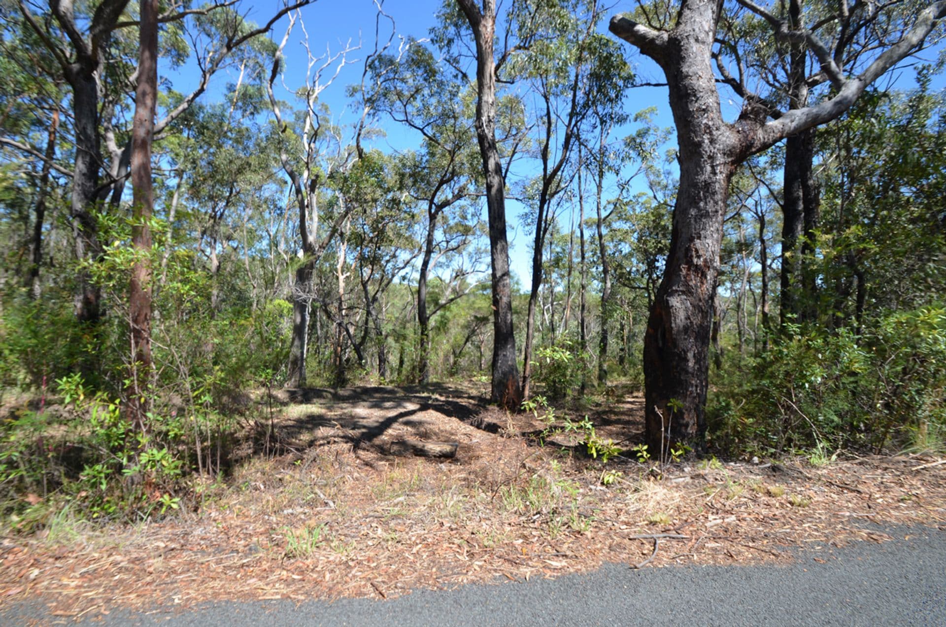 Lot 1/226 Chapman Parade, Faulconbridge, NSW, 2776, Faulconbridge - Thumbnail 2