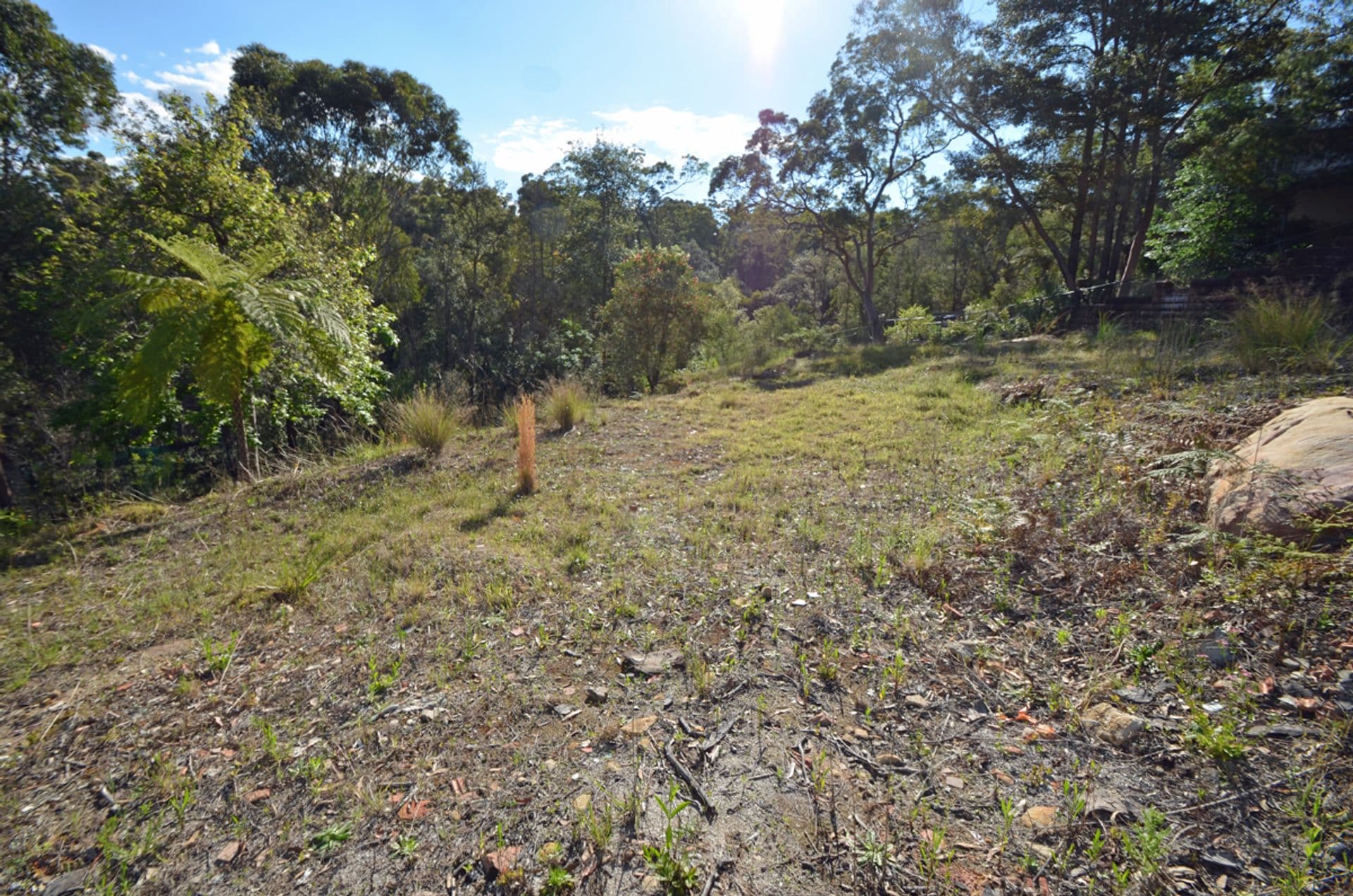 Address Withheld, Winmalee, NSW, 2777, Winmalee - Thumbnail 2