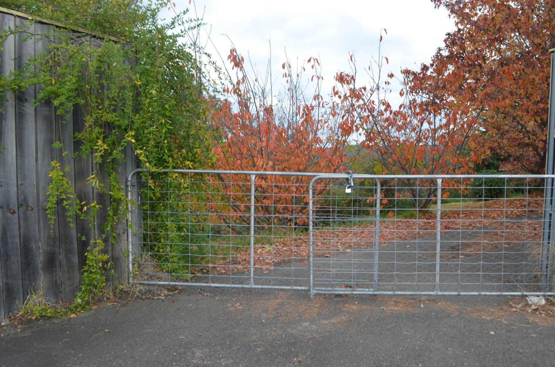 Address Withheld, Linden, NSW, 2778, Linden - Thumbnail 2