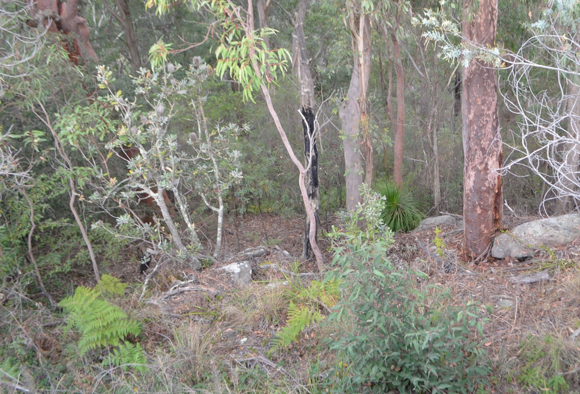 Address Withheld, Linden, NSW, 2778, Linden - Thumbnail 6