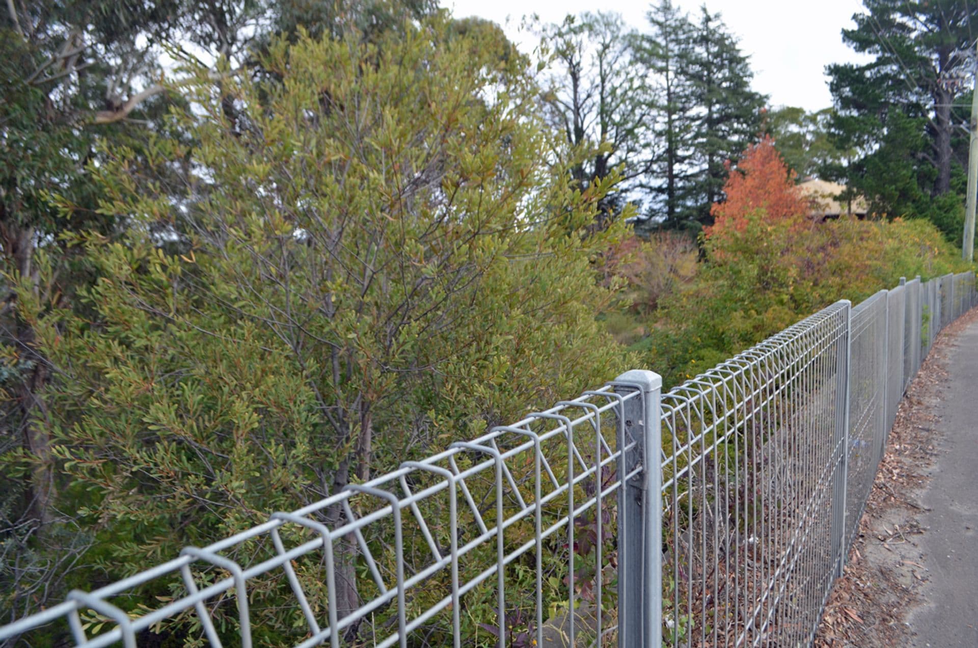 Address Withheld, Linden, NSW, 2778, Linden - Thumbnail 8