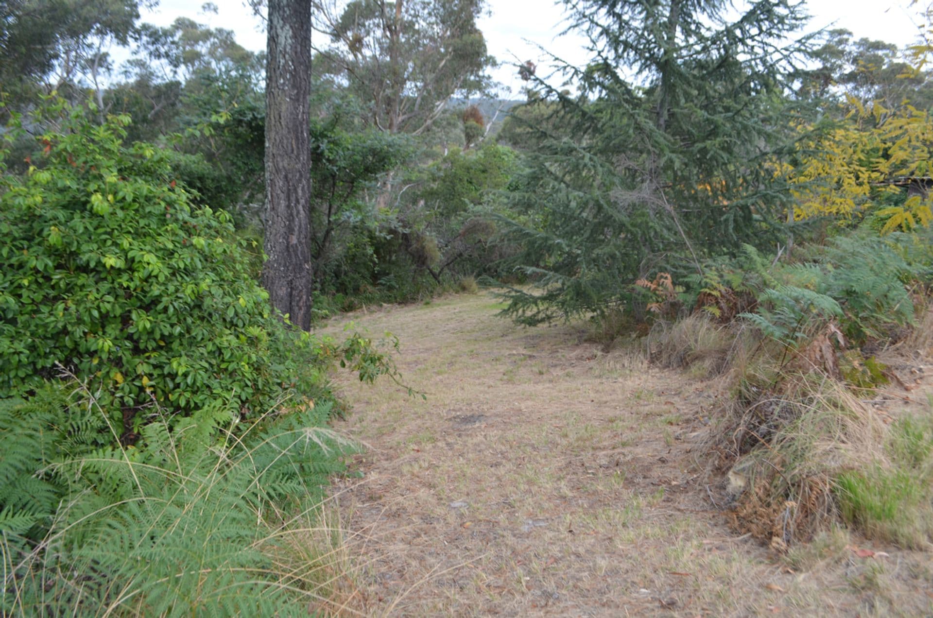 Address Withheld, Linden, NSW, 2778, Linden - Thumbnail 3