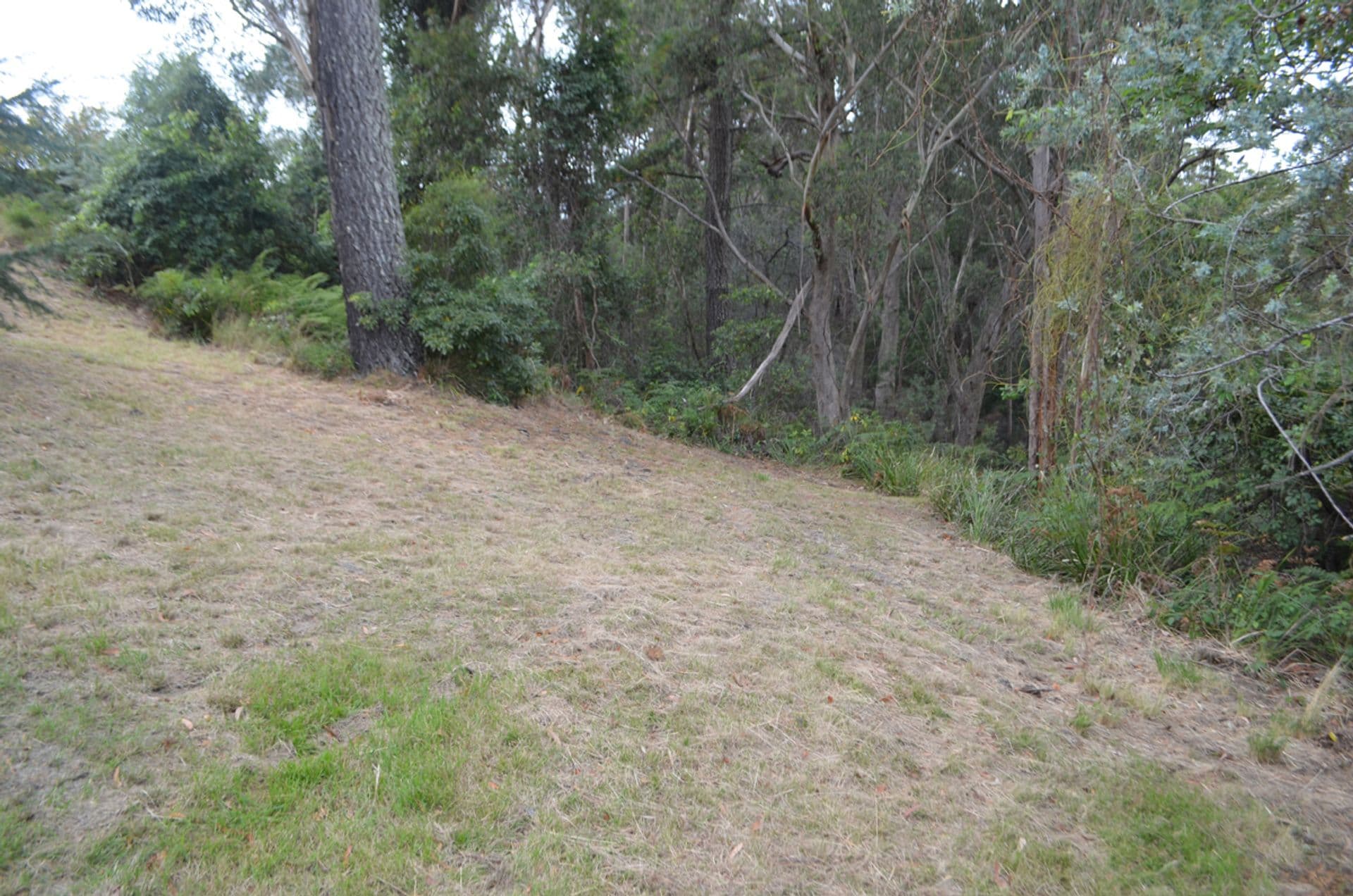 Address Withheld, Linden, NSW, 2778, Linden - Thumbnail 5