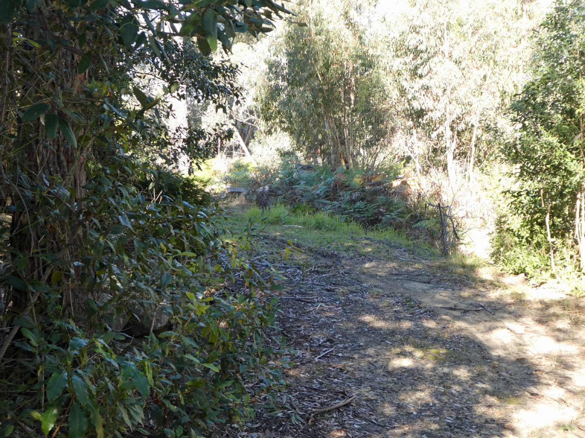 787 Great Western Highway, Linden, NSW, 2778, Linden - Thumbnail 5