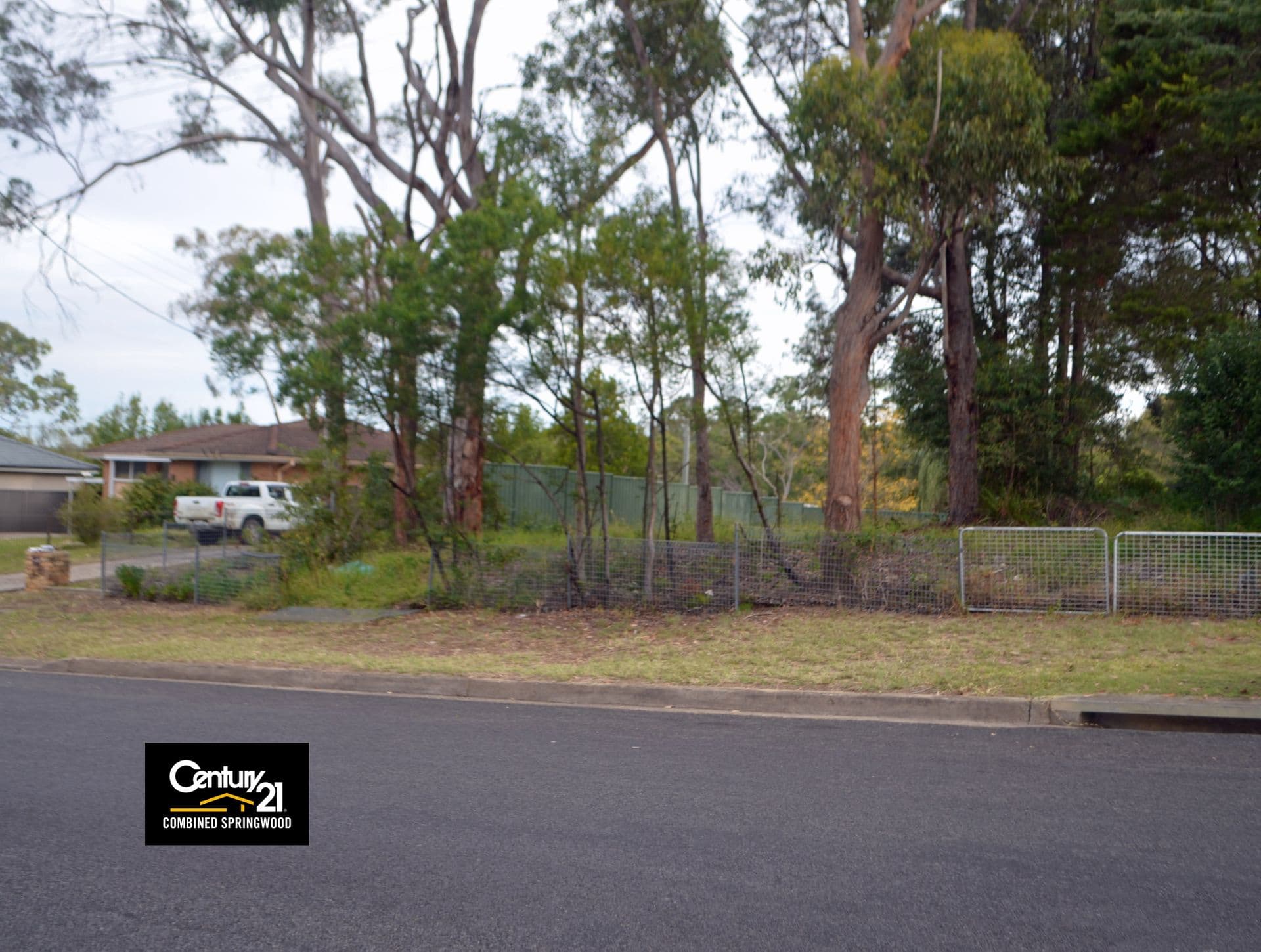41 Ellison Road, Springwood, NSW, 2777, Springwood - Thumbnail 5