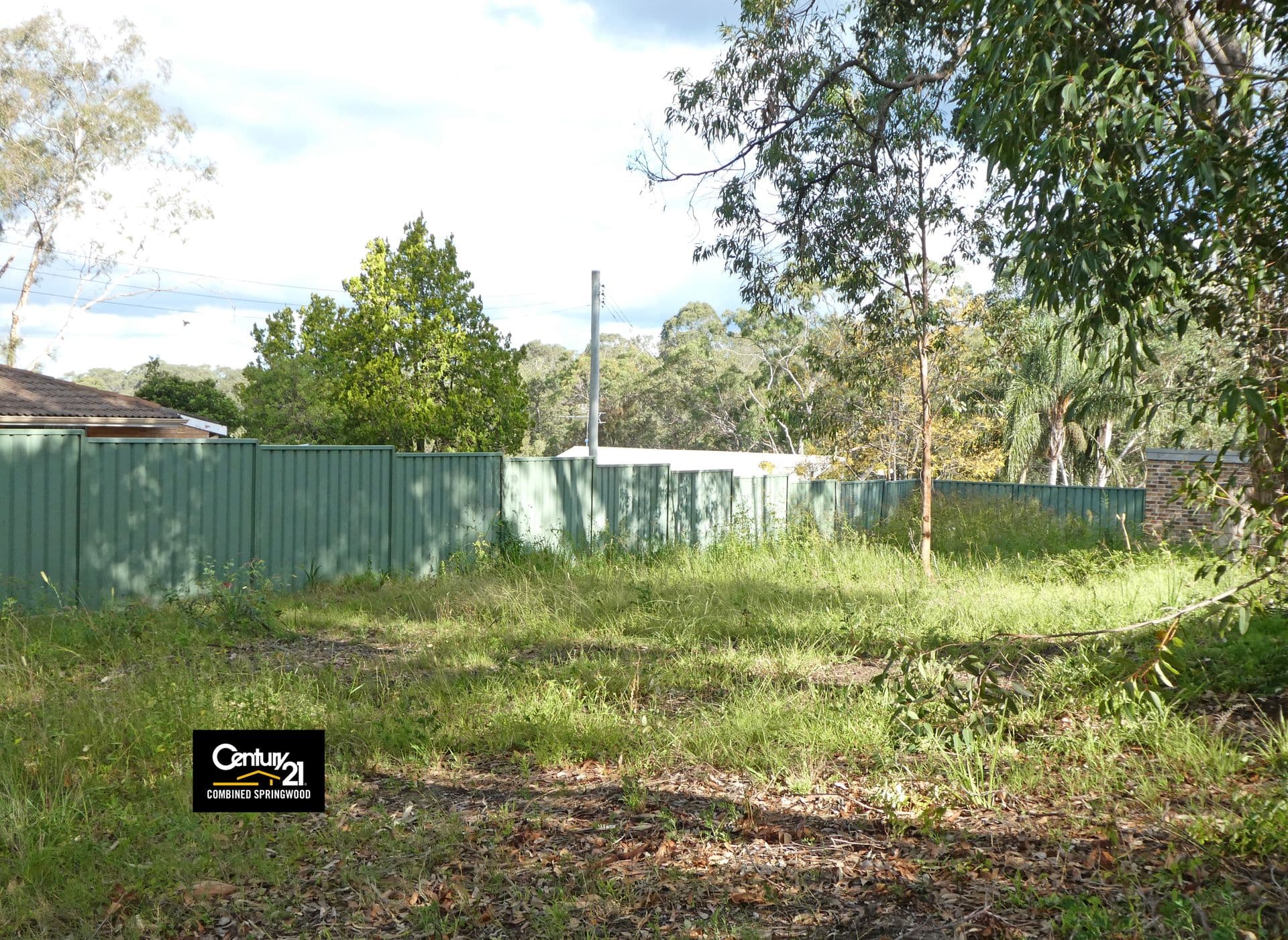 41 Ellison Road, Springwood, NSW, 2777, Springwood - Thumbnail 6