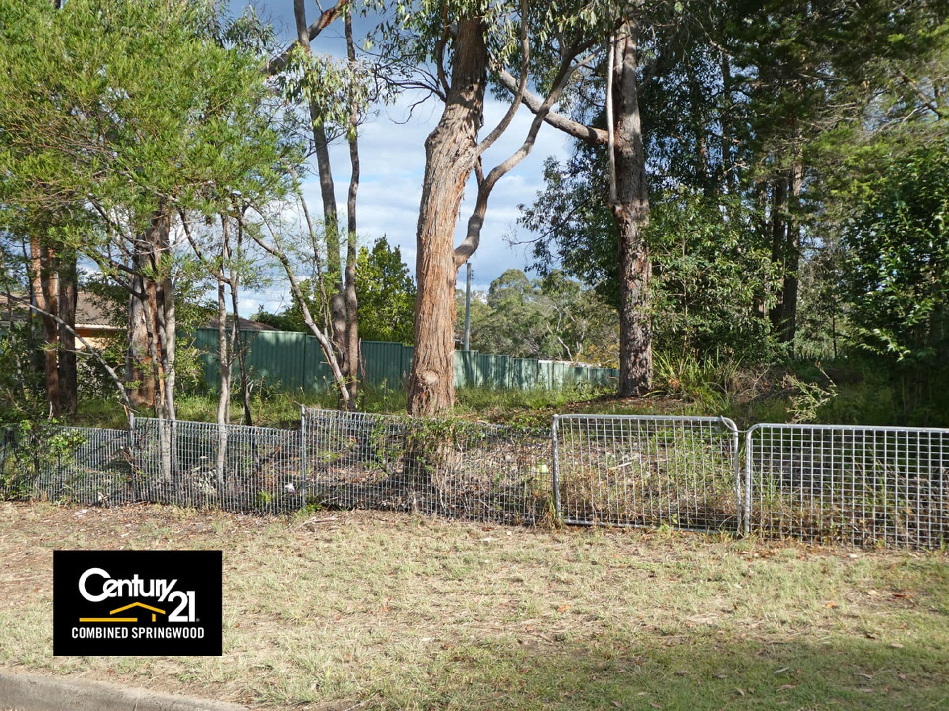 41 Ellison Road, Springwood, NSW, 2777, Springwood - Thumbnail 2