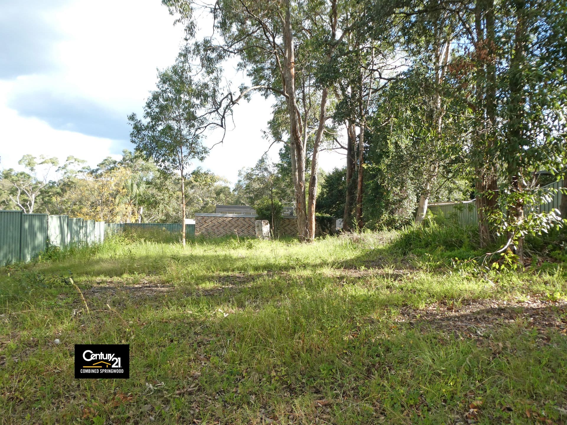 41 Ellison Road, Springwood, NSW, 2777, Springwood - Image 1