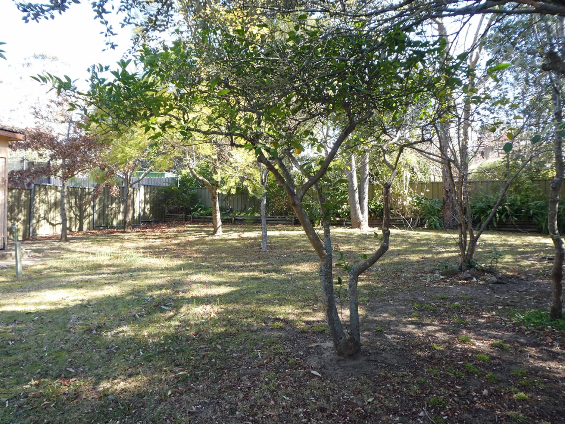 36 Sayers Street, Lawson, NSW, 2783, Lawson - Thumbnail 8