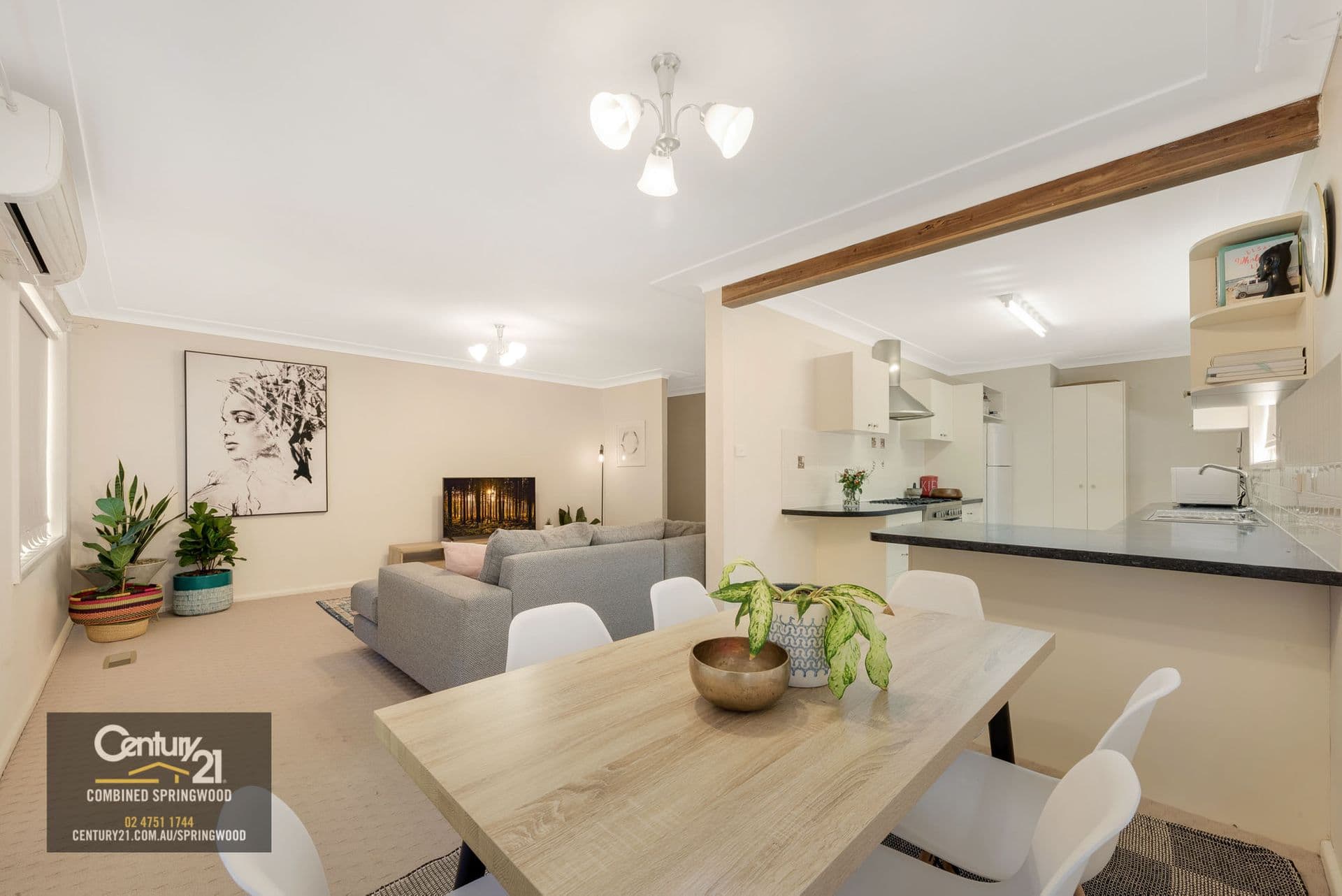 3 Fels Ave, Springwood, NSW, 2777, Springwood - Thumbnail 4