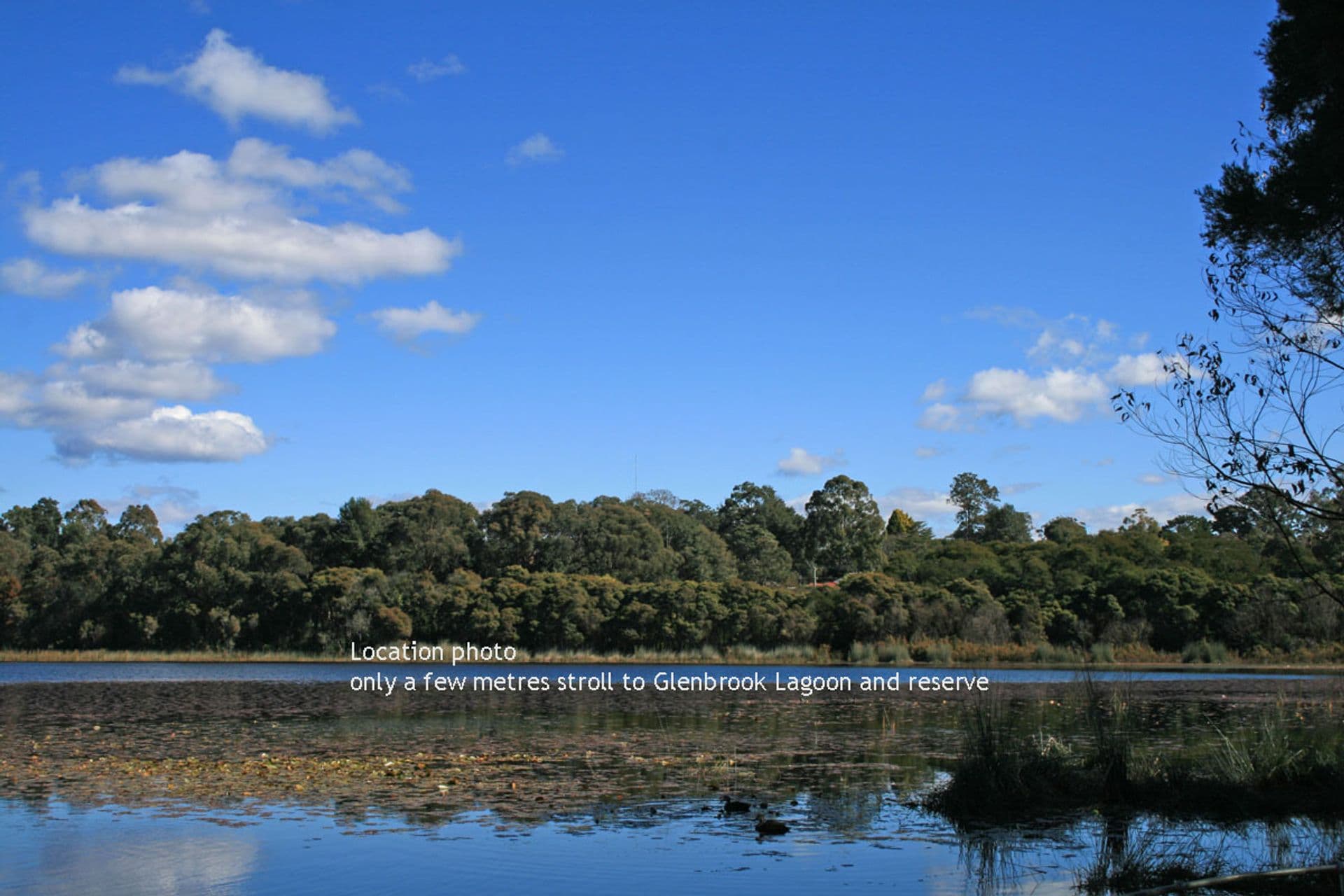 2 / 95 Glenbrook Rd, Blaxland, NSW, 2774, Blaxland - Thumbnail 8